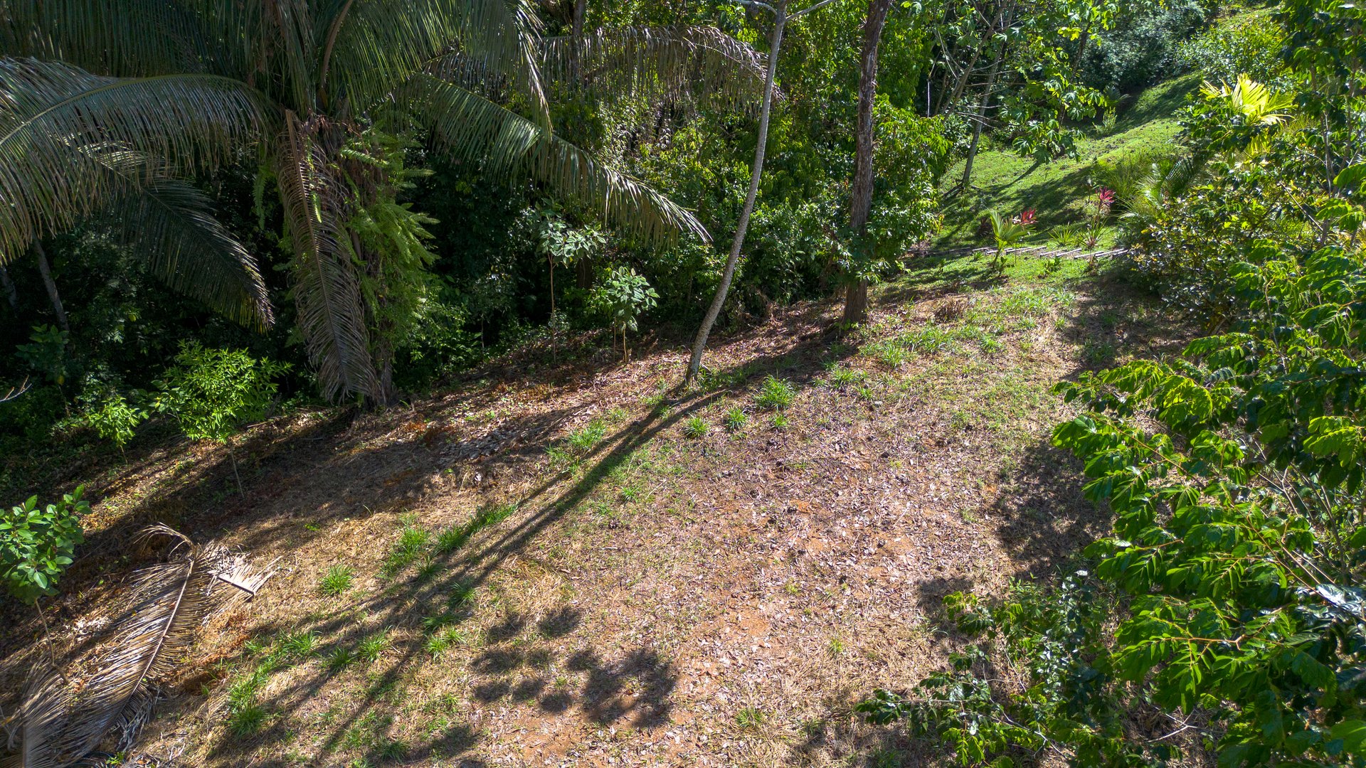 Surfers Paradise! Two Usable Lots for Building in Playa Hermosa Near Uvita!!