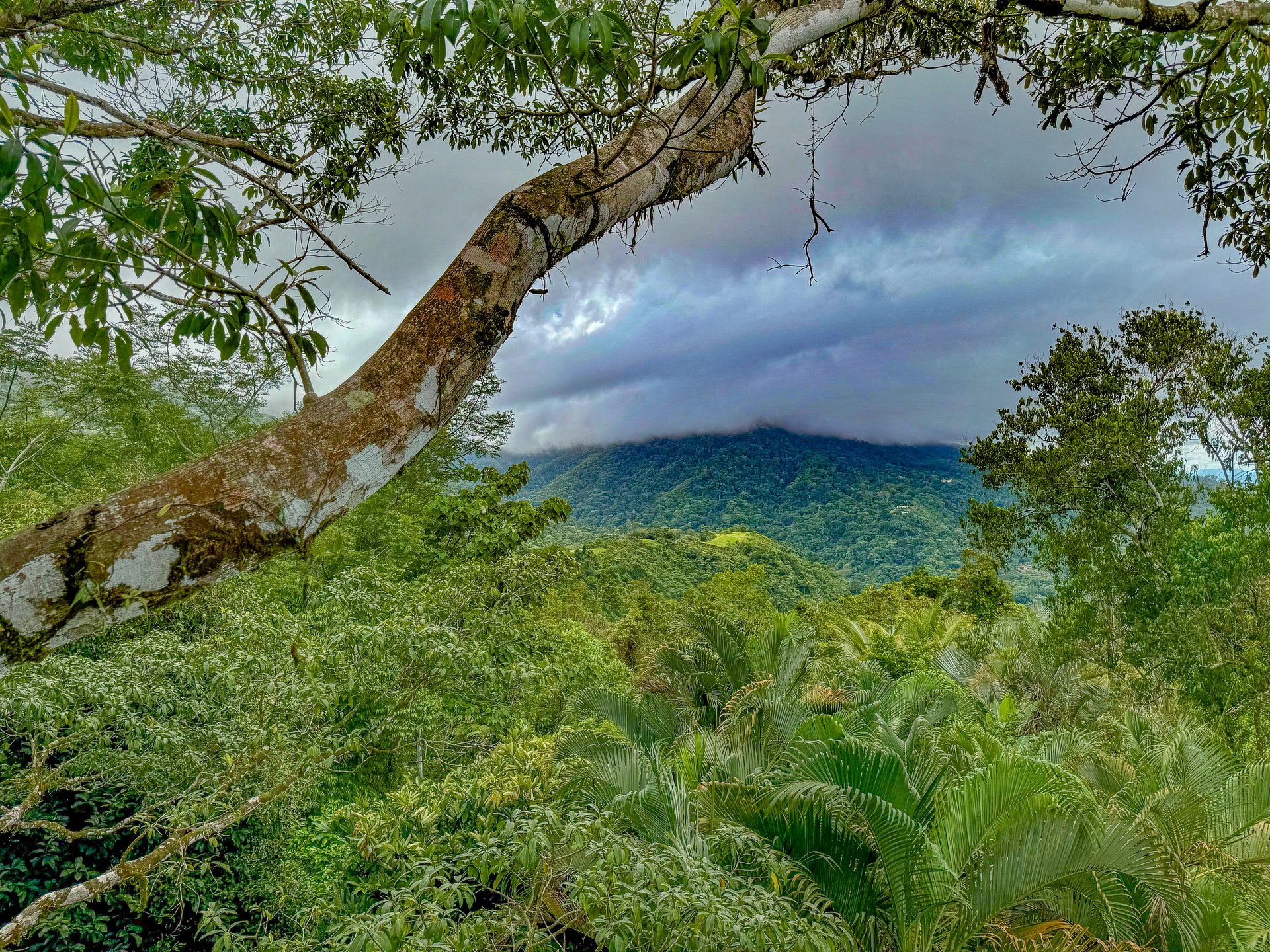 Jungle Retreat with River, Views & 2 Homes in Tres Rios