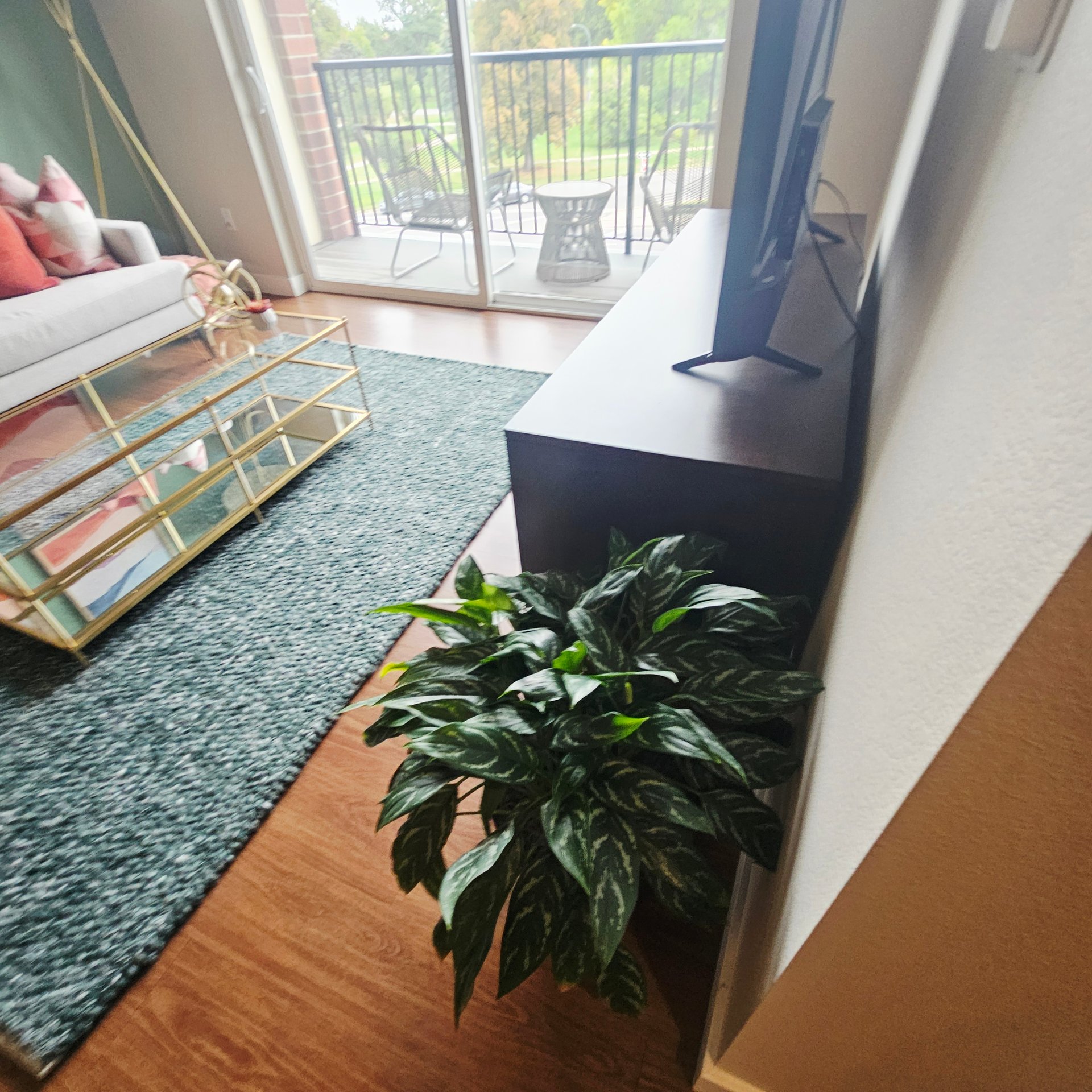 1 Bed 1 Bath Apartment Near City Park Denver
