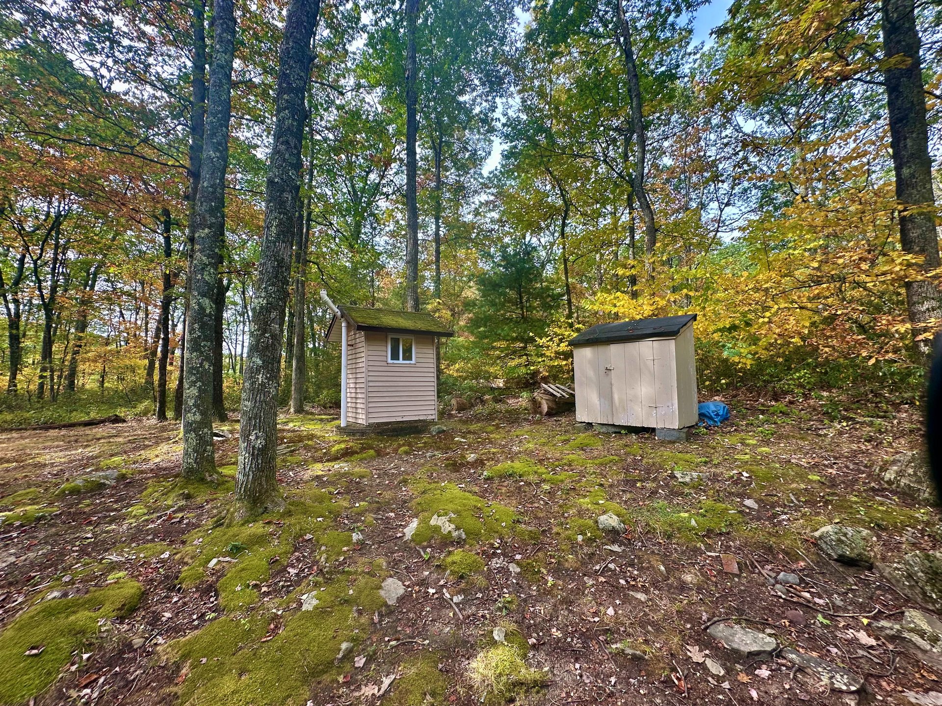 141 Hobday Road