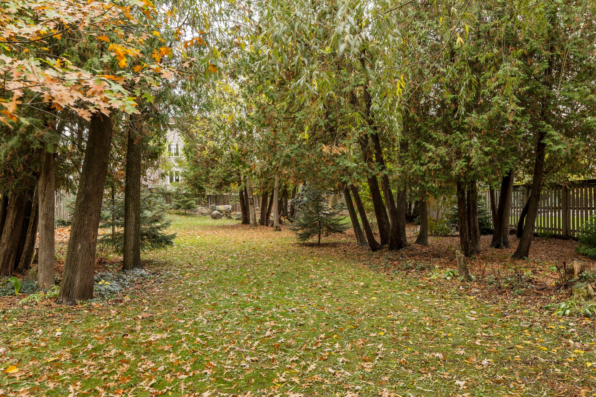 381 Cox Mill Road, Barrie