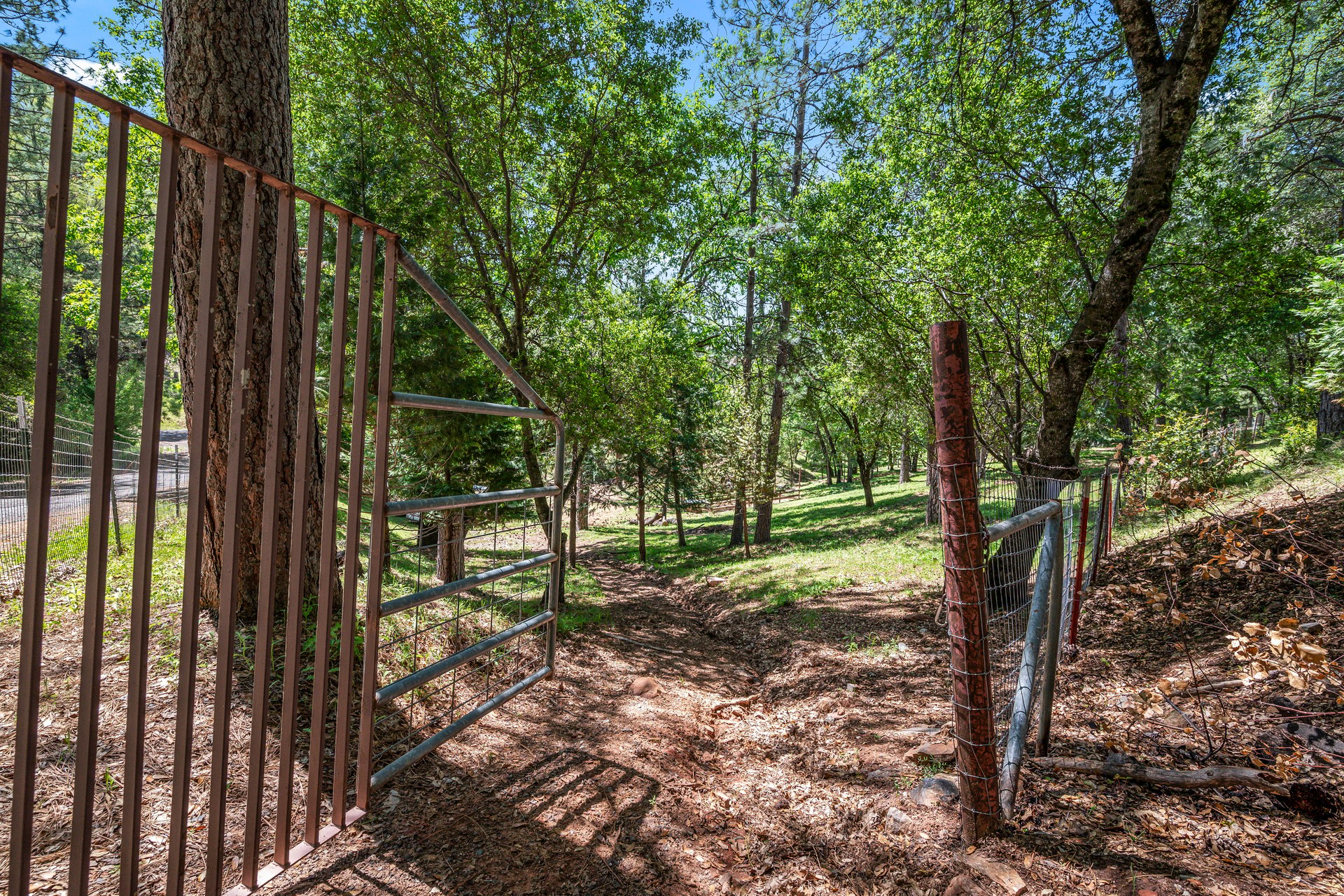 2405 No Walk Rd, Placerville