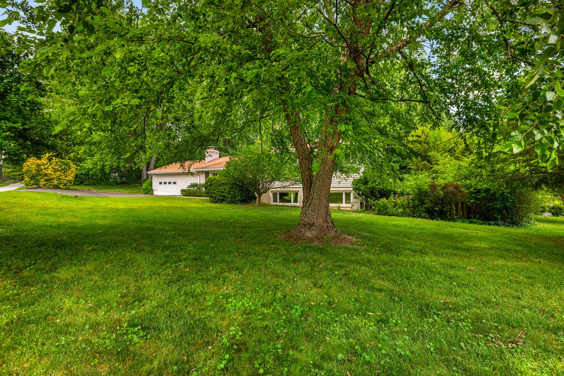 A Rare McLean Opportunity with Extraordinary Potential