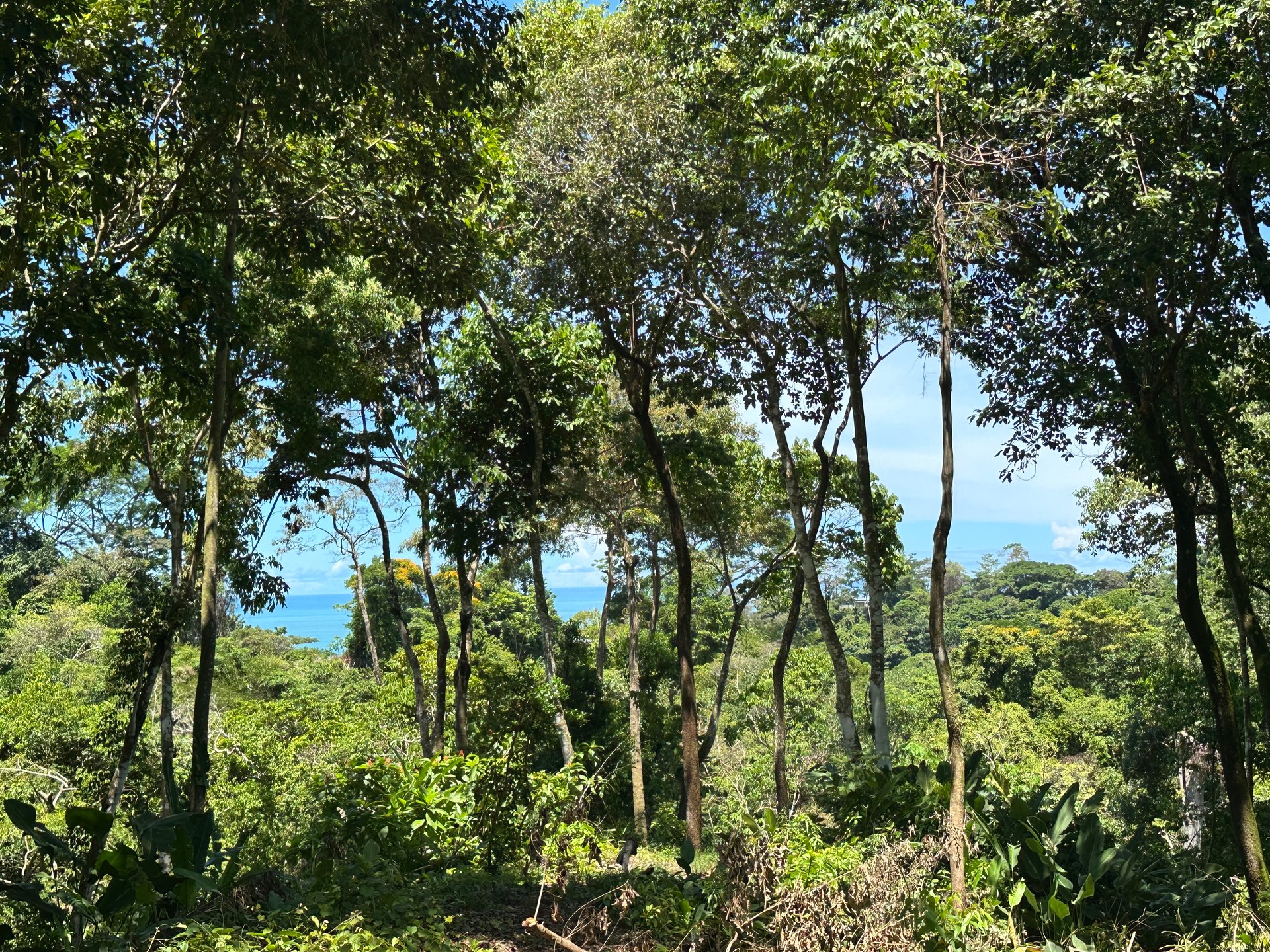 Ocean View Lot in Paradise Breezes, Hatillo - Ready to build