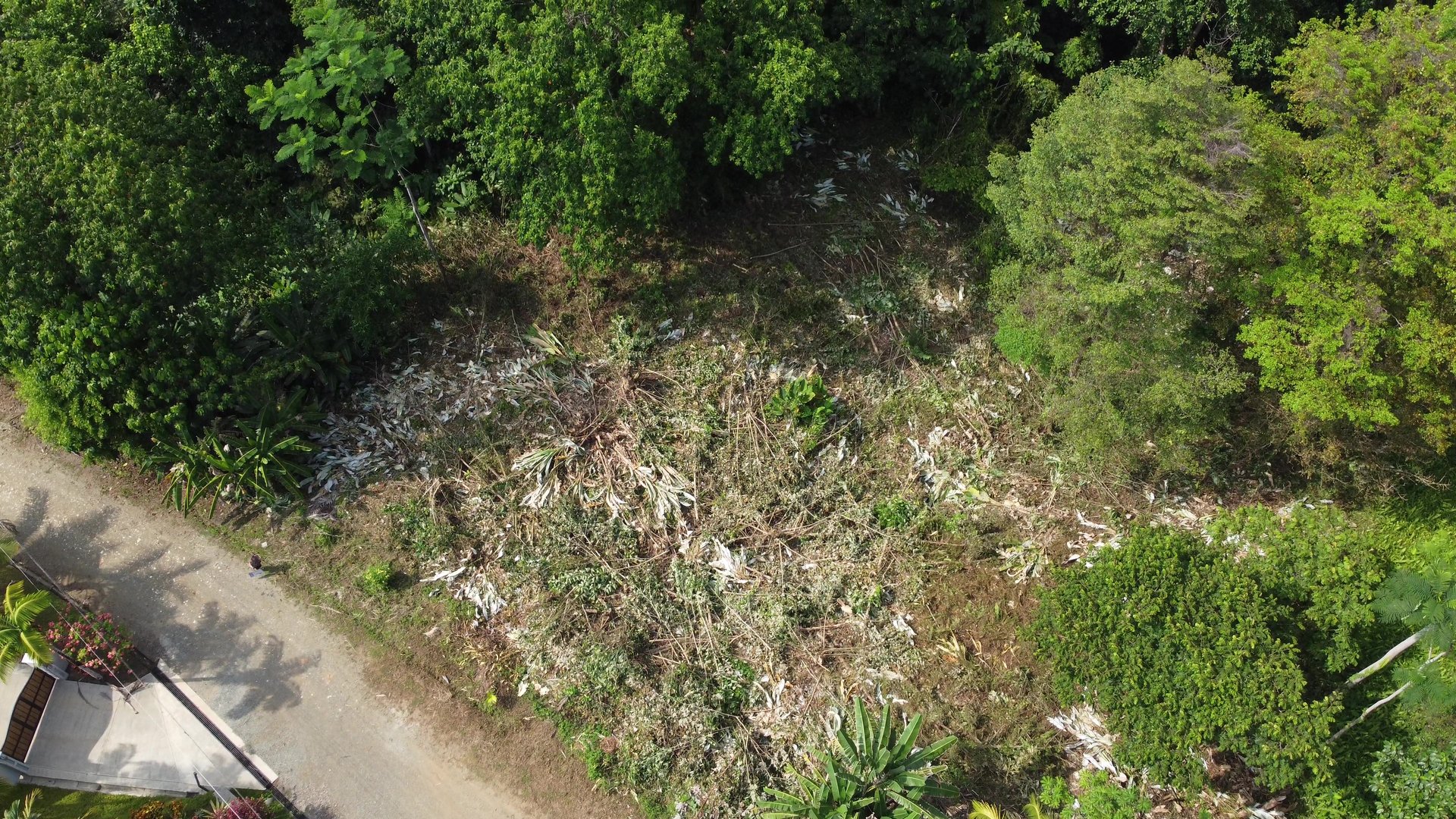 Ojochal - 1 Acre Ready To Build Jungle Lot, Ocean Breezes in Wildlife Corridore