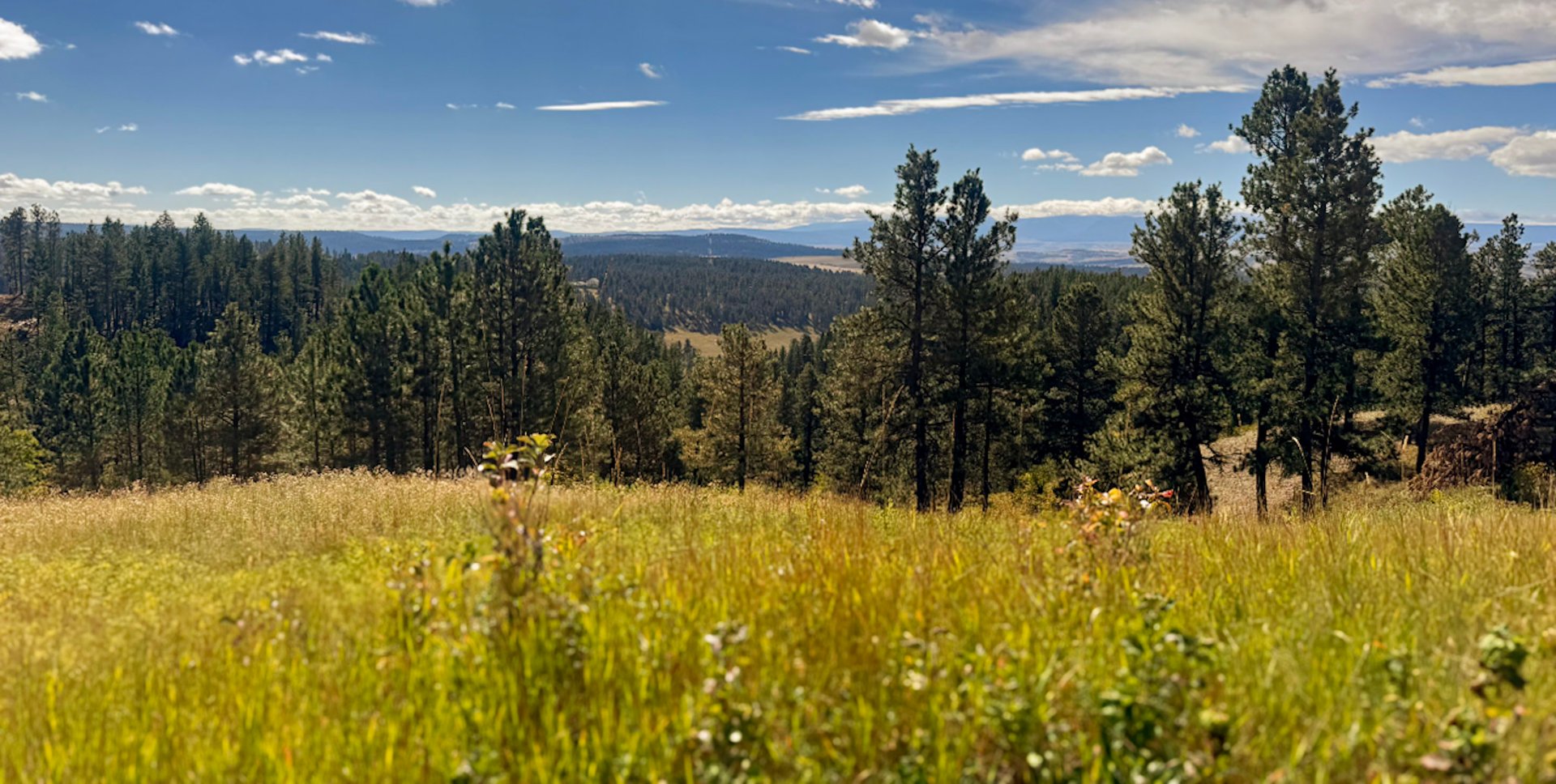 Bull Mountain Overlook