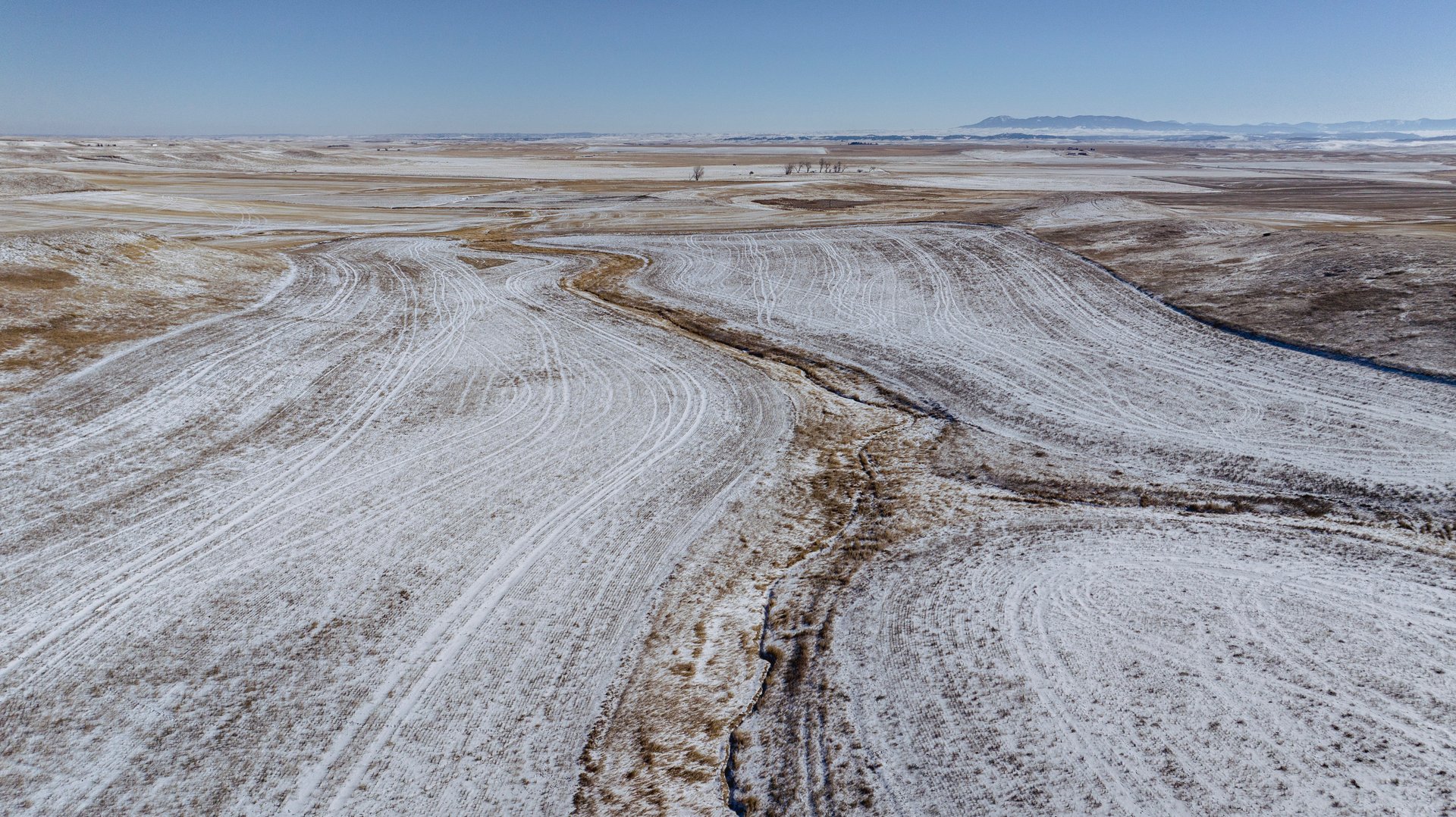 Upland Edge