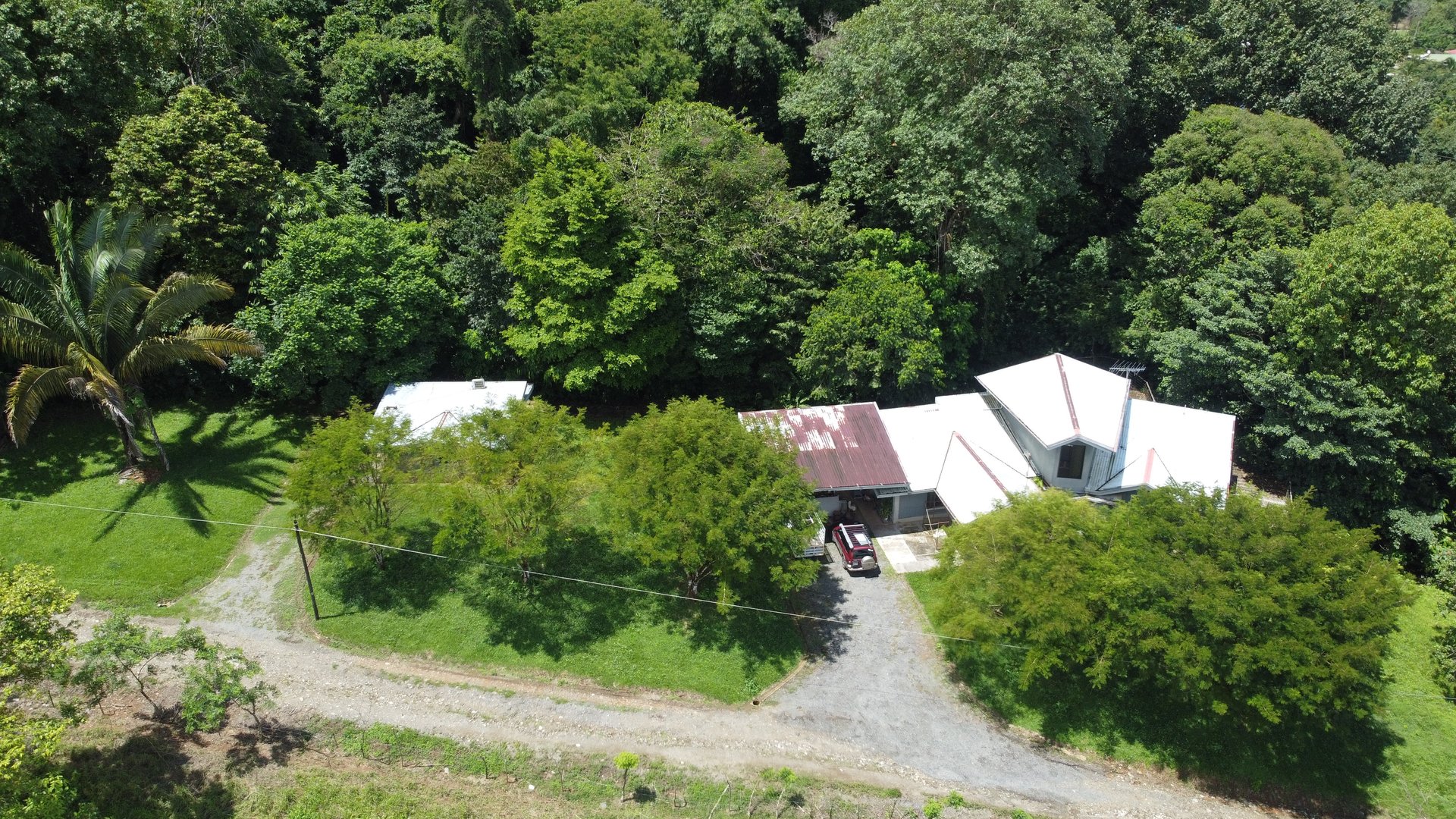 Fixer-Upper Home with an studio Office in Palmar Norte on a 7.58 Acres Property