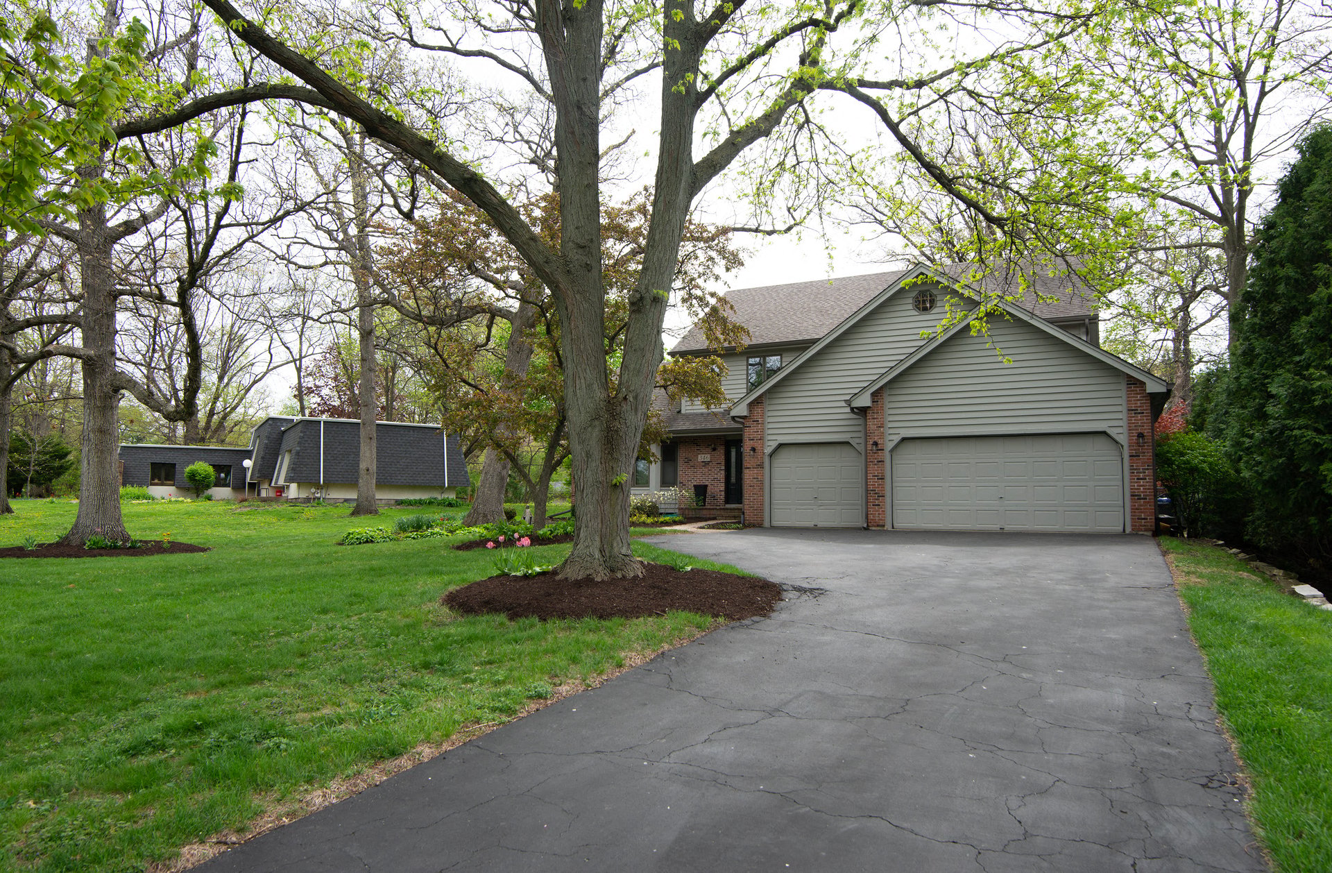 346 Meadowrue Lane