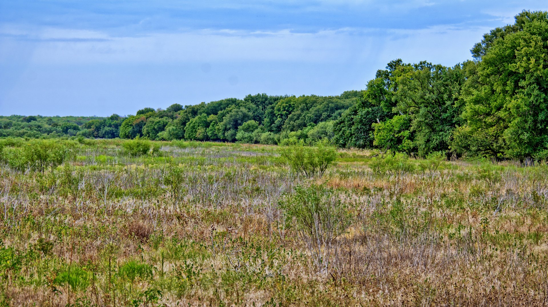 Cross Creek Ranch 