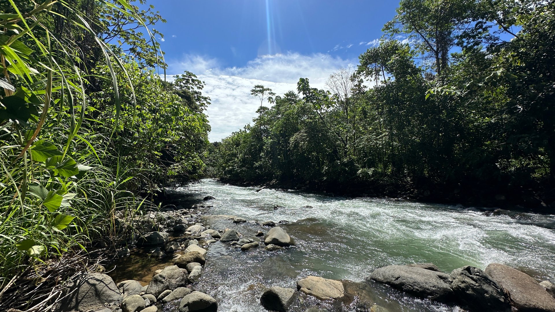 11.75 Acre property In-town, Retreat, Hotel, Bnb