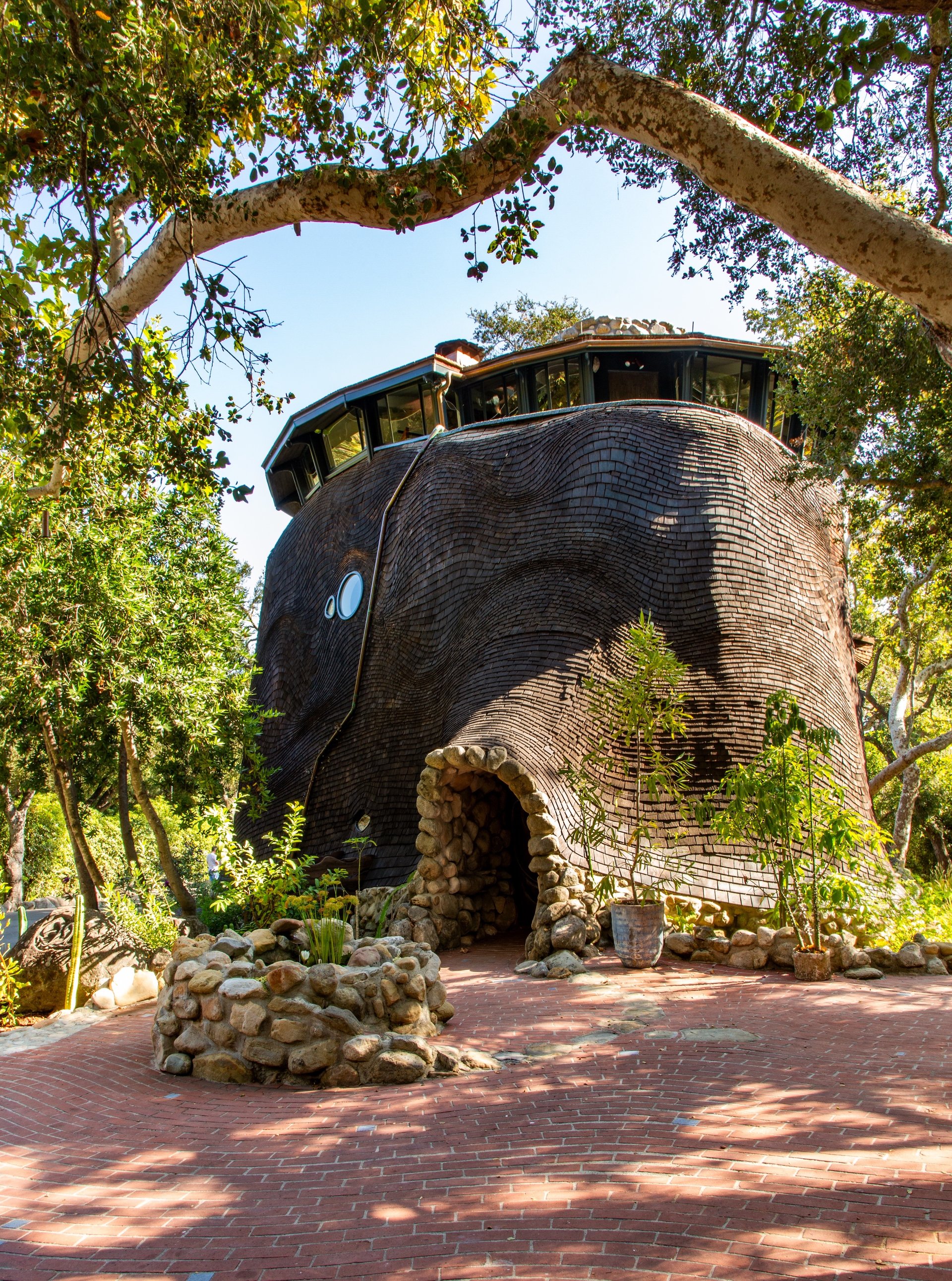 The Whale House