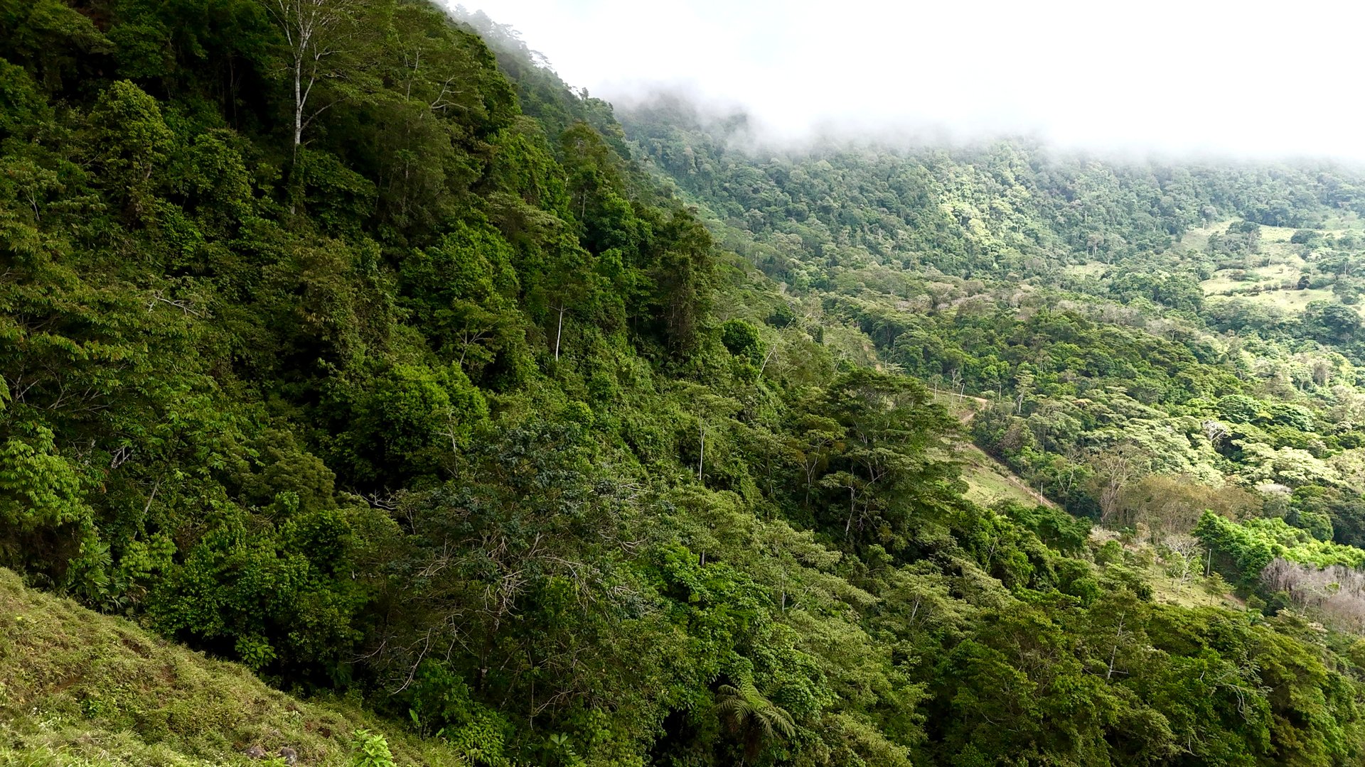 Gorgeous Land in San Luis Morete - Uvita - Over 17 Acres