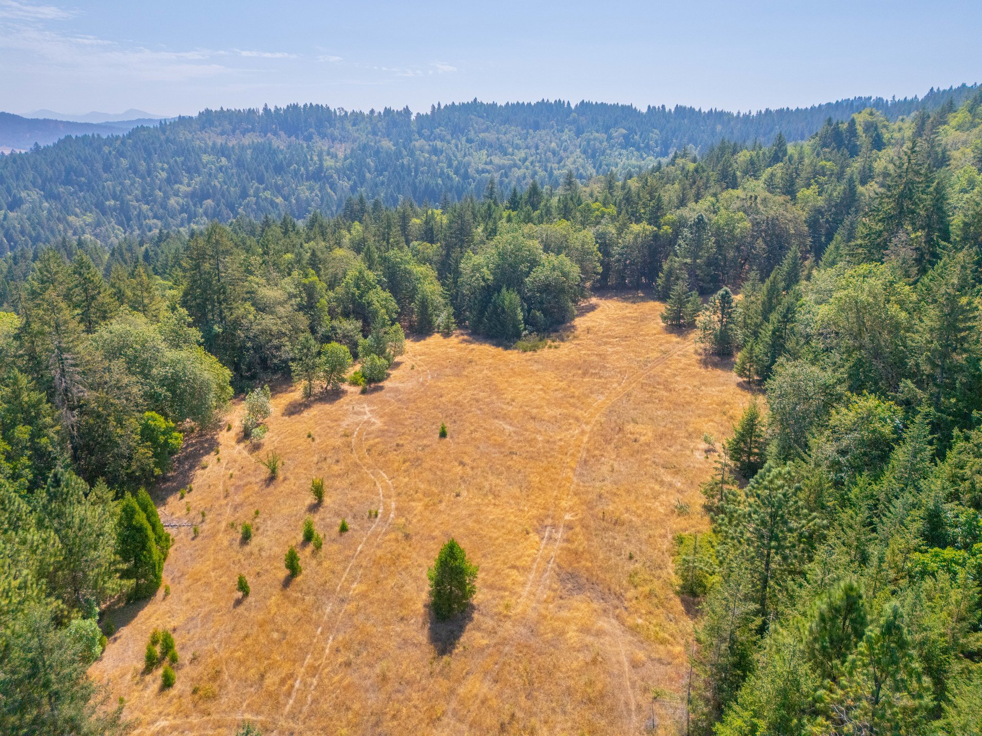 WAGON ROAD HOMESTEAD