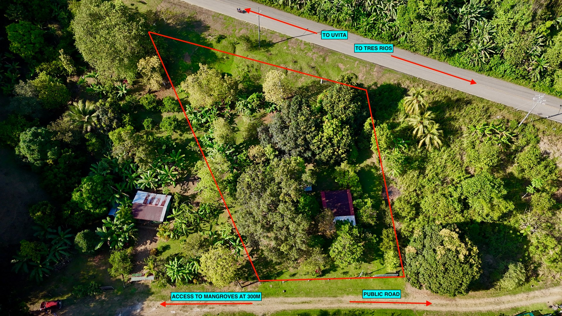 Commercial & Residential Property in Punta Mala with Producing Fruit Trees