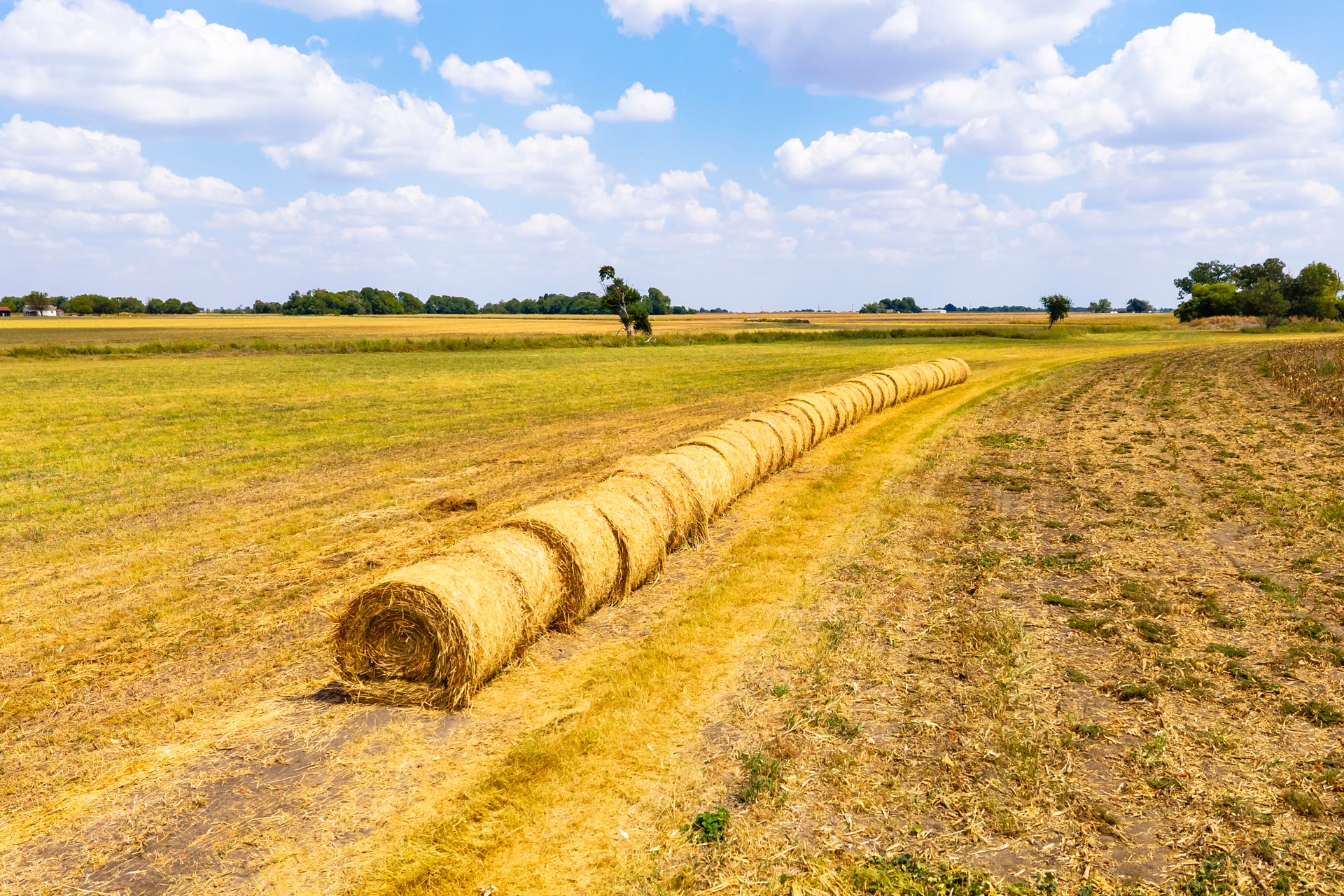 272 Acres at FM 1660 & FM 973, Just South of Samsung - Taylor, TX
