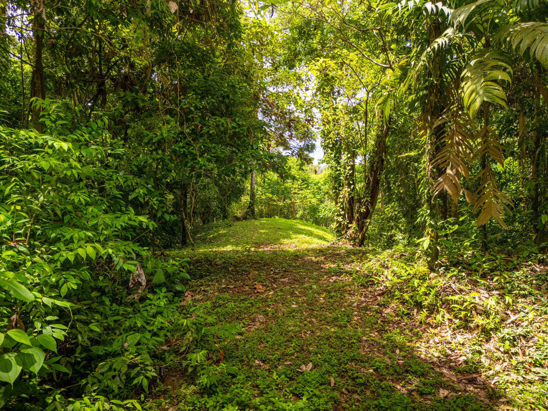 Tropical Paradise in Cascada Sándalo, Tres Ríos Ocean & Mountain Views | Gated Community | Abundant Nature