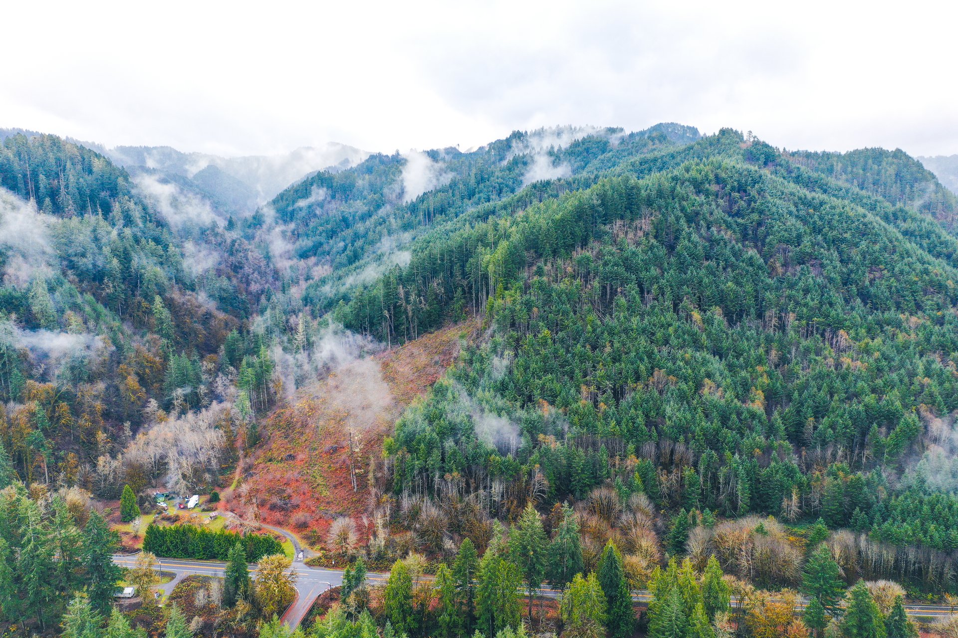 Waite Creek Woodlands