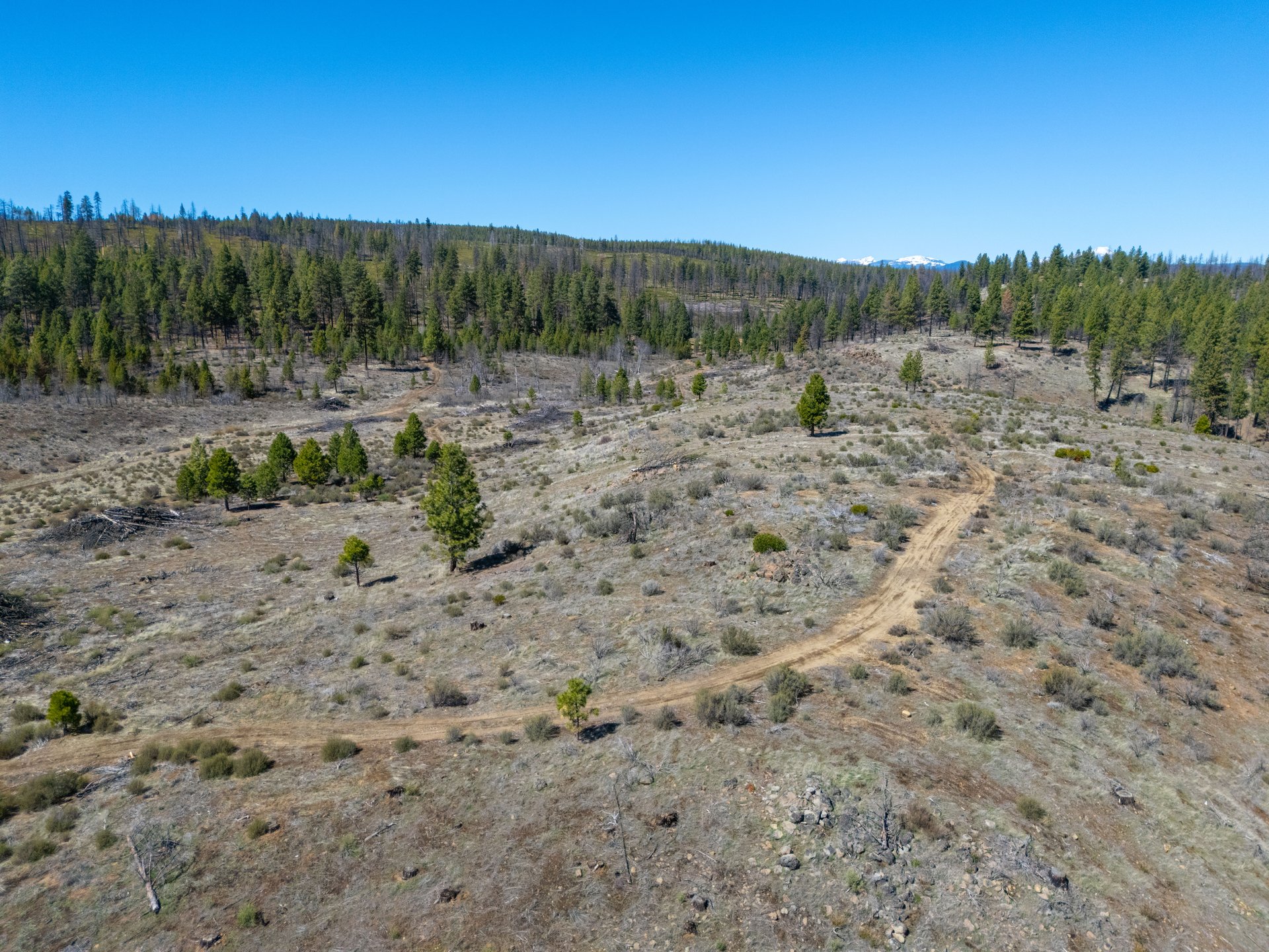Klamath Basin