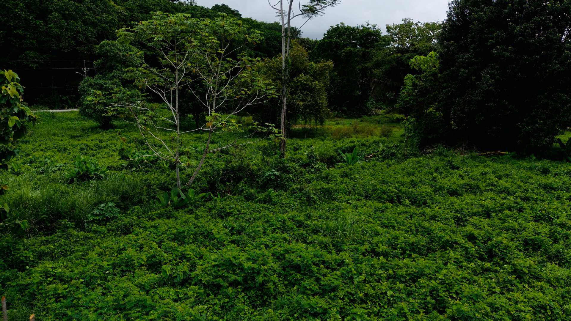 Strategic 5000sqm Commercial Property in Uvita: Perfect for any Business Vision