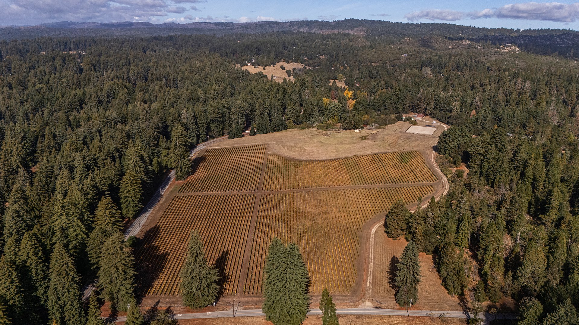 Santa Cruz Vineyard & Horse Property