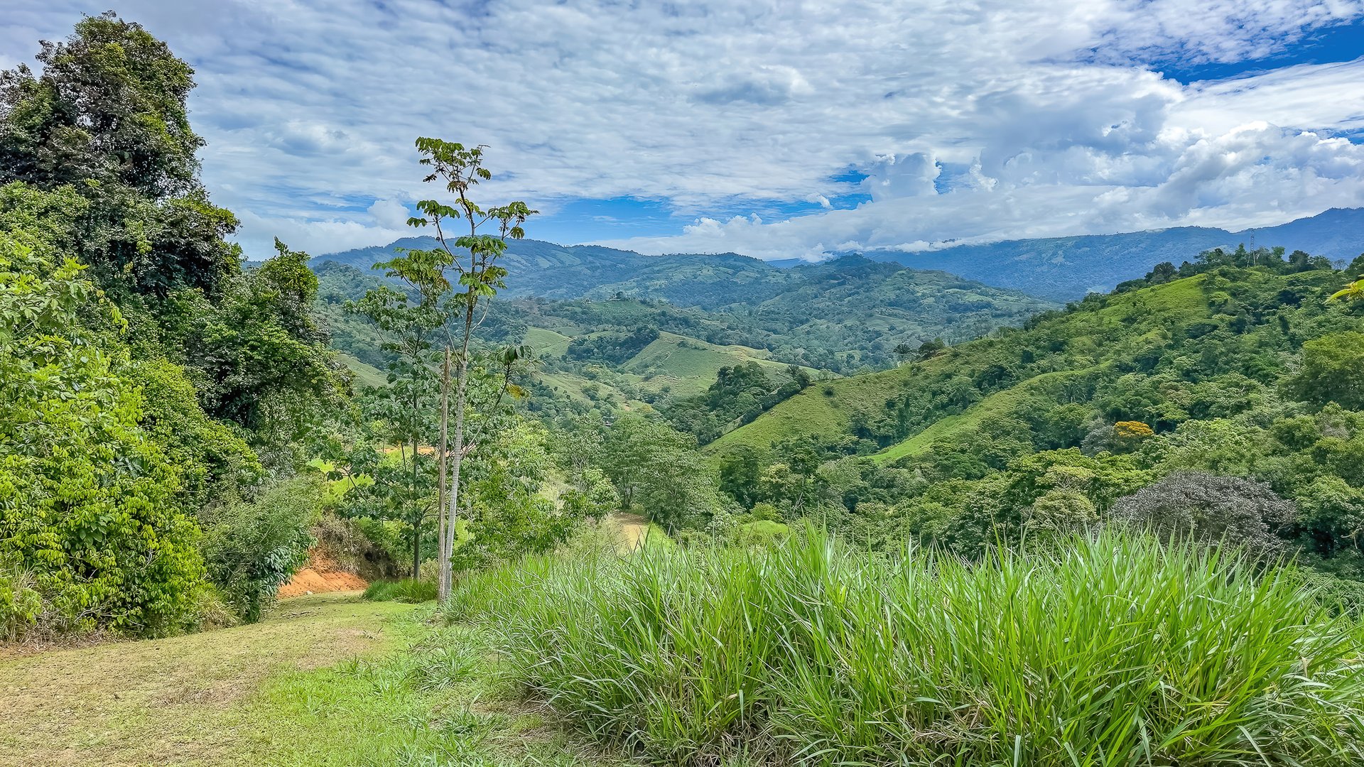 60+ Hectares in Platanillo | Own Your Own Mountain in Costa Rica