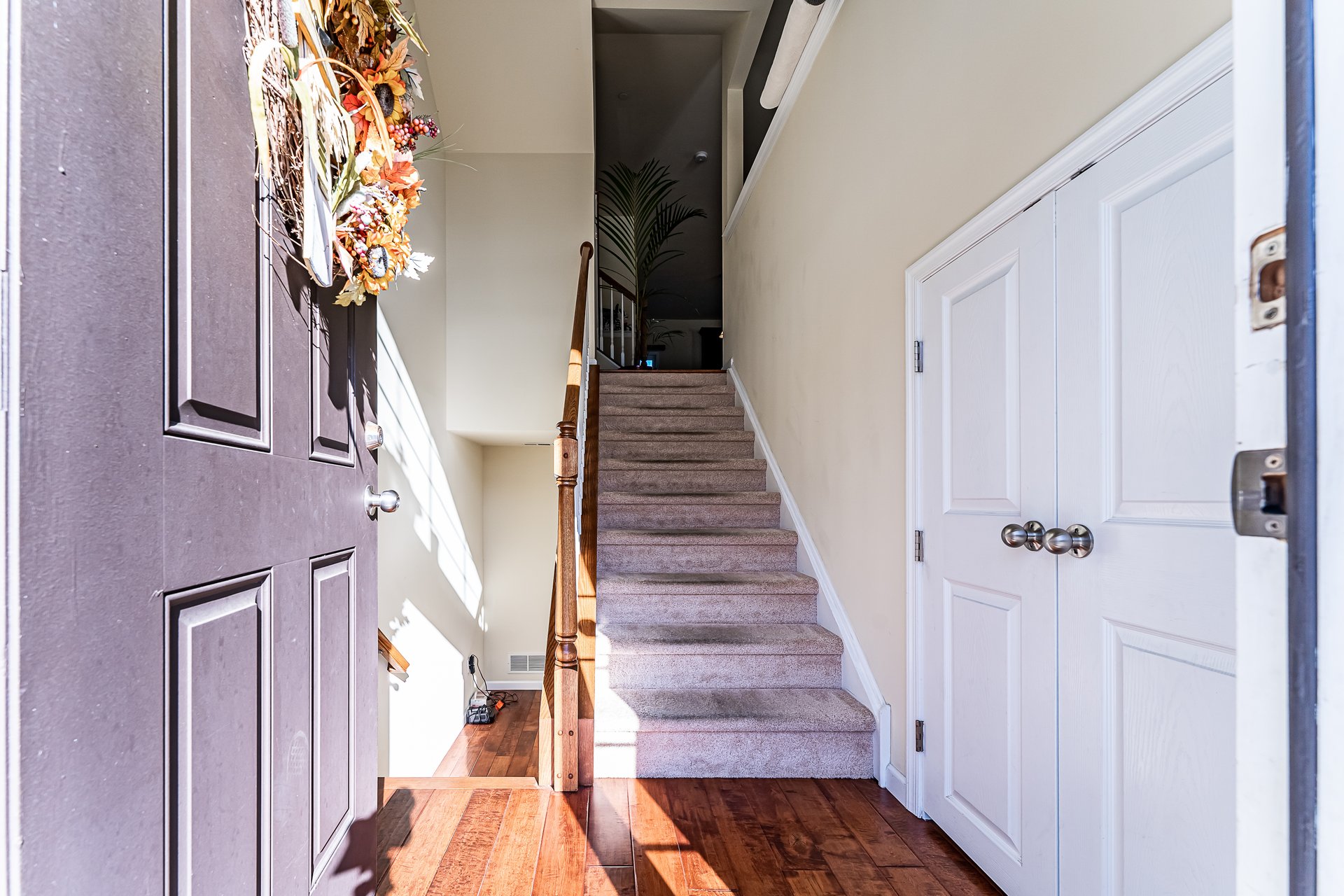 2208 Rising Hill Road