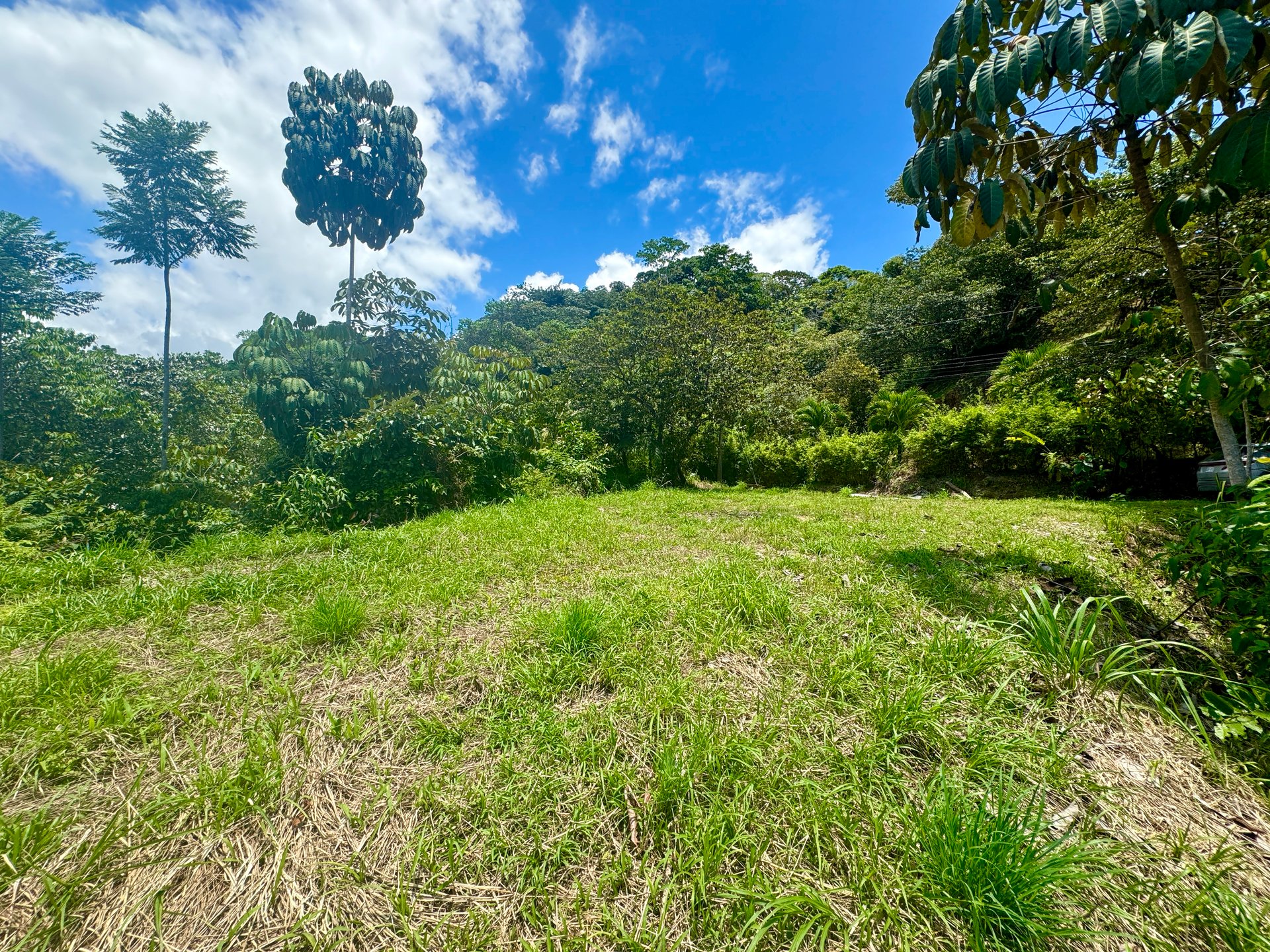 Lot in Calle Perezoso