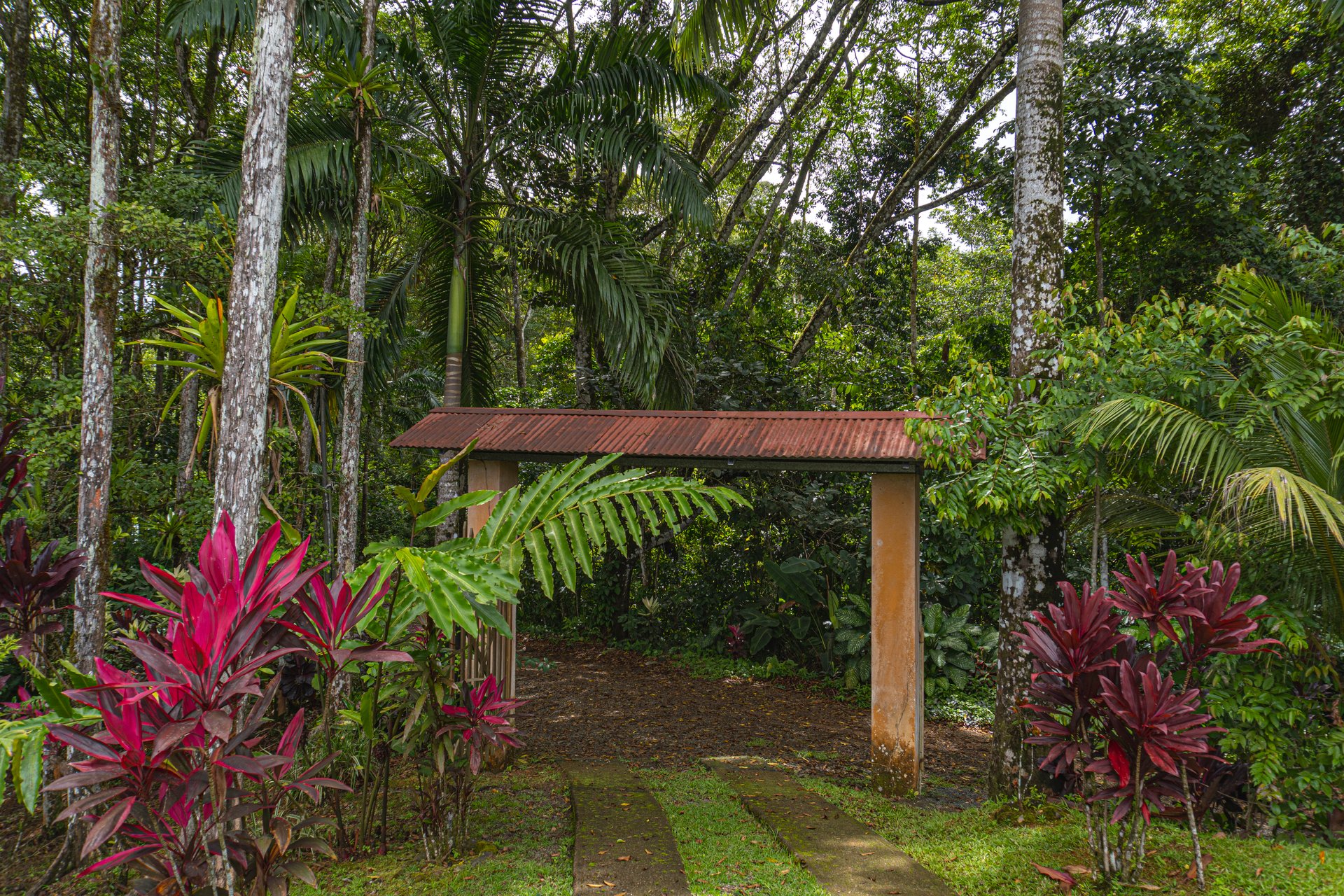 Serene Costa Rican Jungle Retreat with Waterfalls & Wildlife