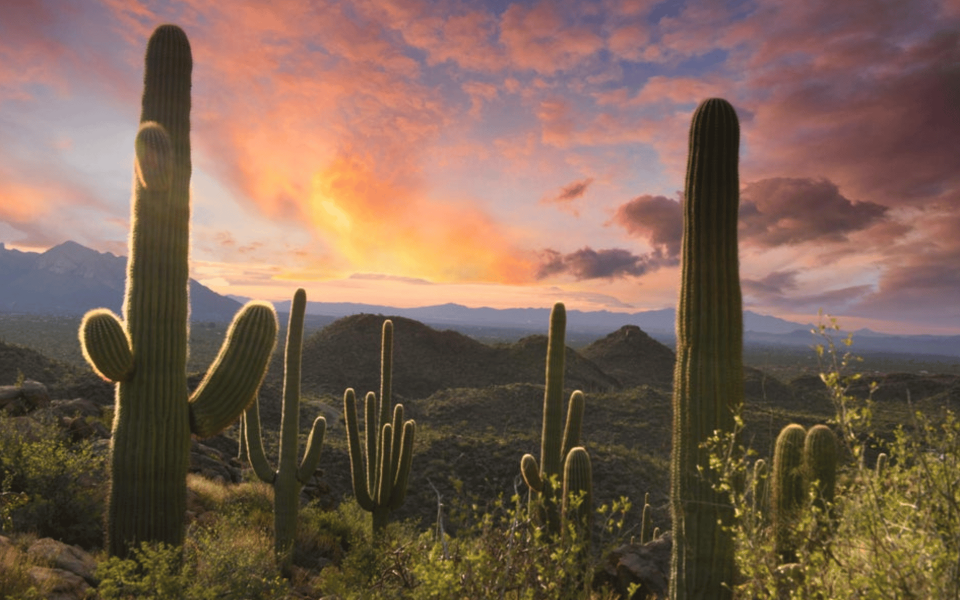 Hacienda - Lot #2 - 14474 N. Old Ranch House Road