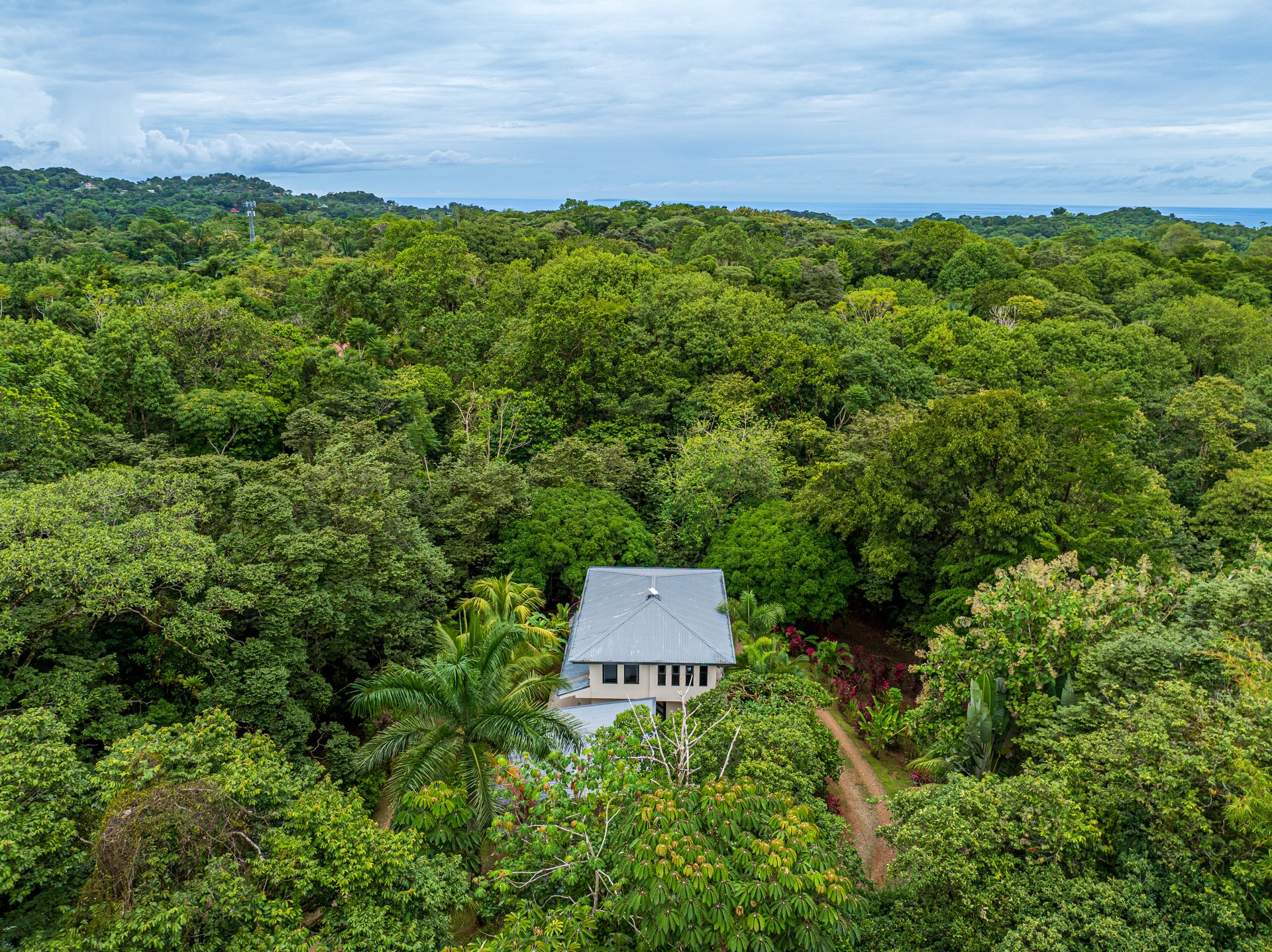 Luxury Rainforest Home + Guest House on 11 acres