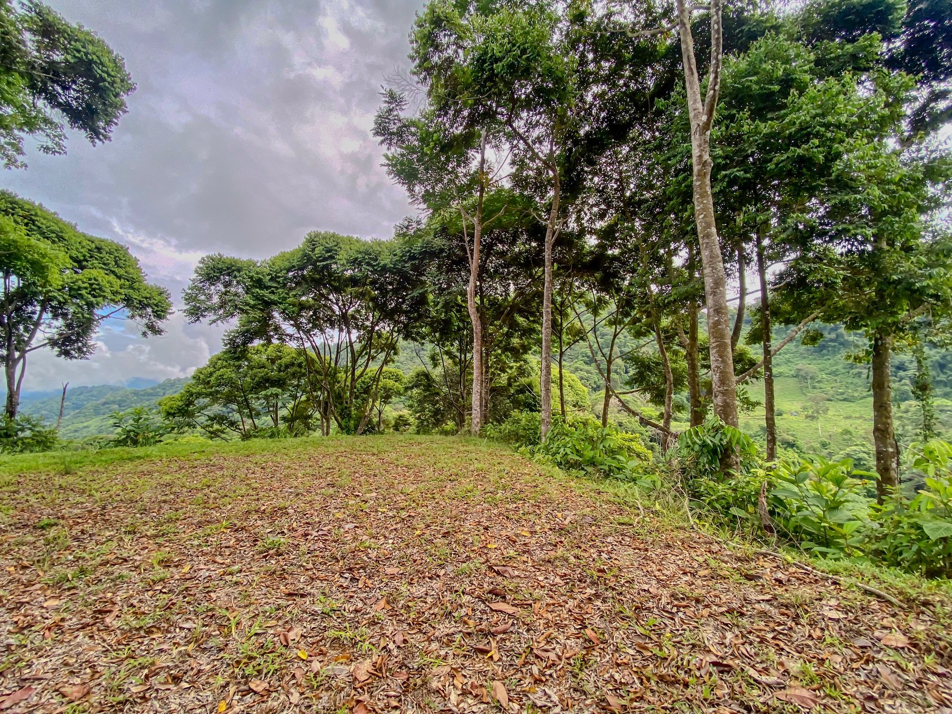 59.35 ACRES- Ocean And Mountain View Land, 6 Building Areas, Legal Water, Public Road, 20min From Beaches!!!