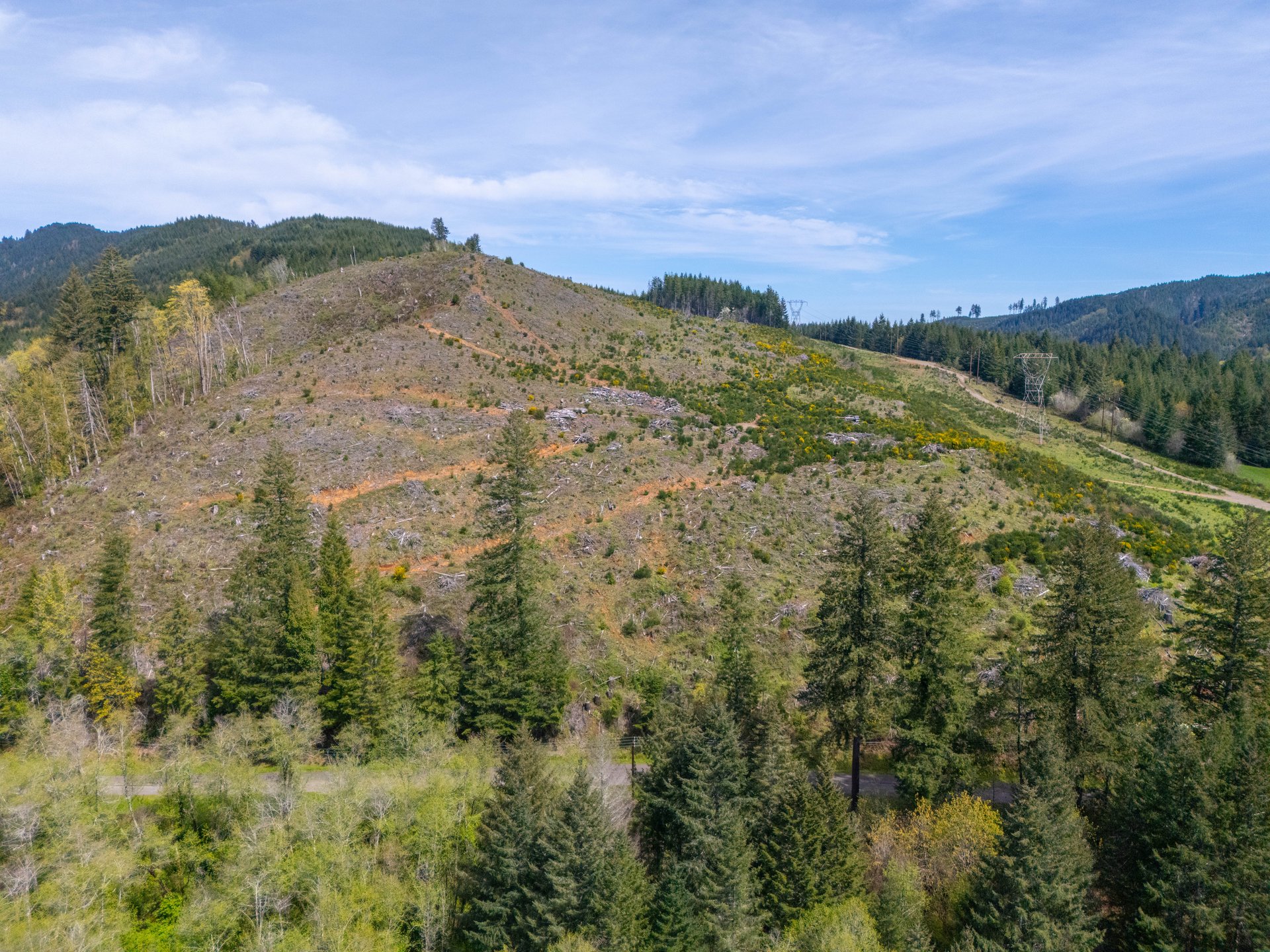 Nelson Mountain Meadows