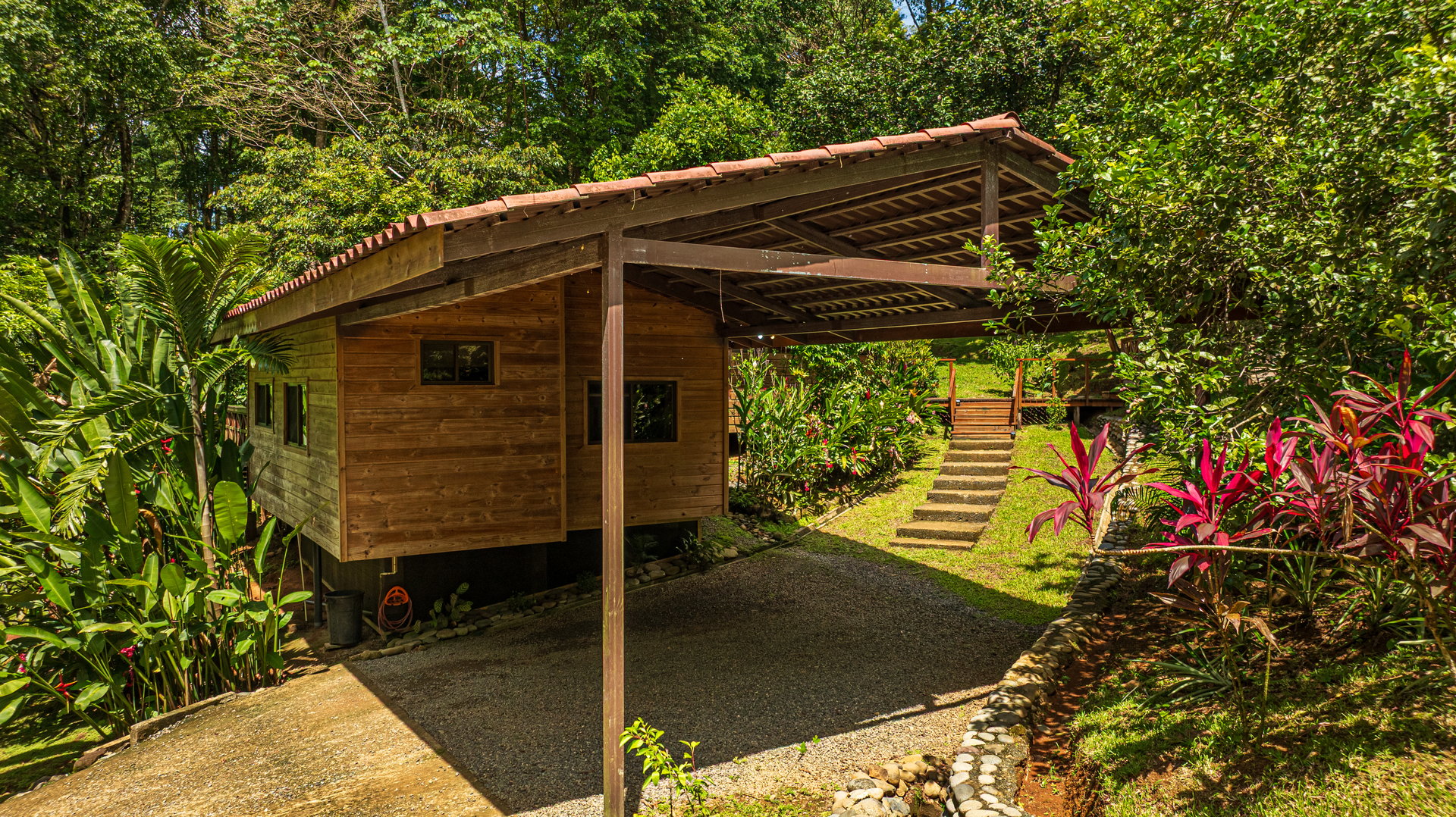 A Jungle House Built of Wood & River Dreams