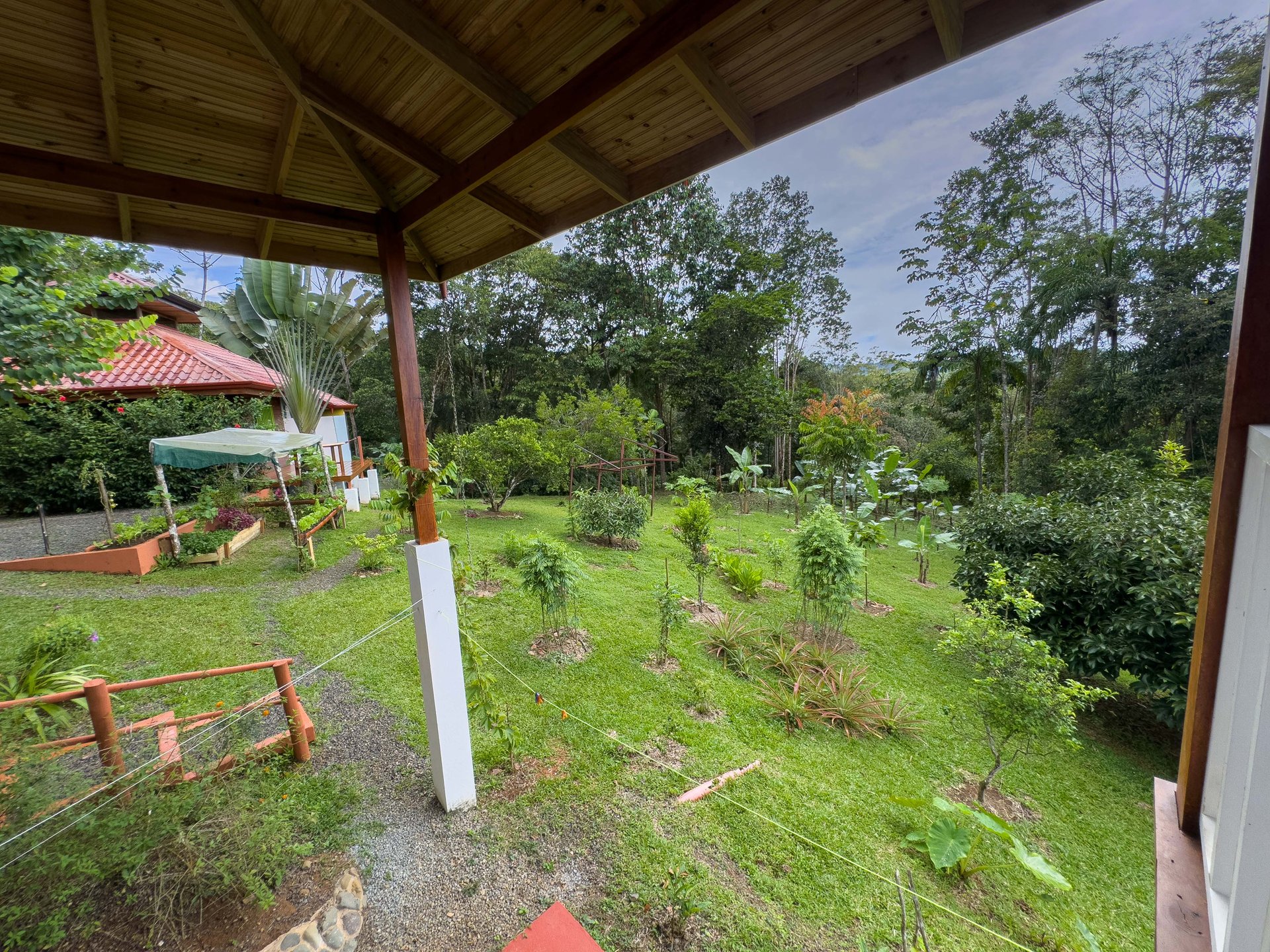 Tinamastes Eco Orchard | Creekside 2BR Home + Studio Casita