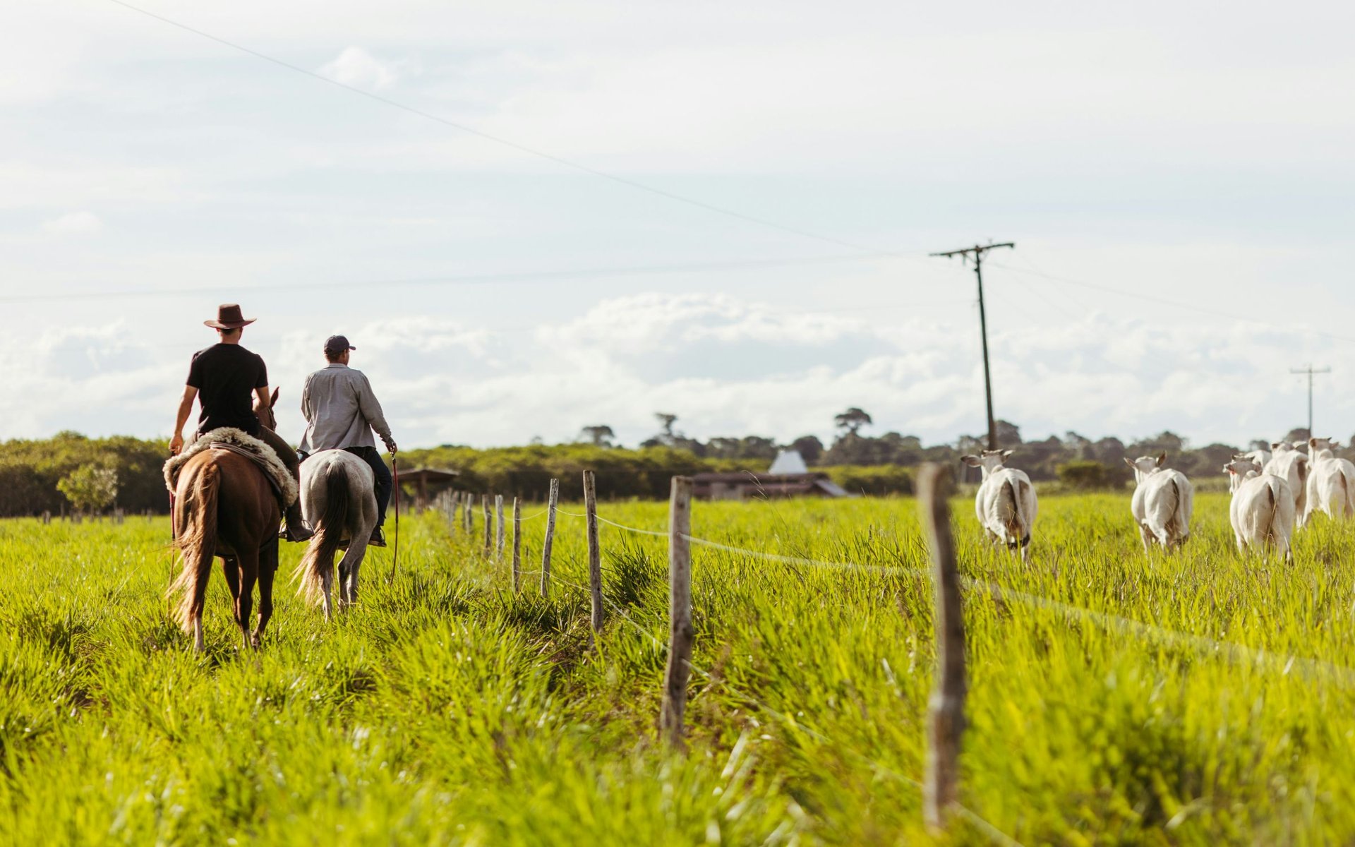 Farm & Ranch | Bill Johnson Real Estate | Trusted Experts