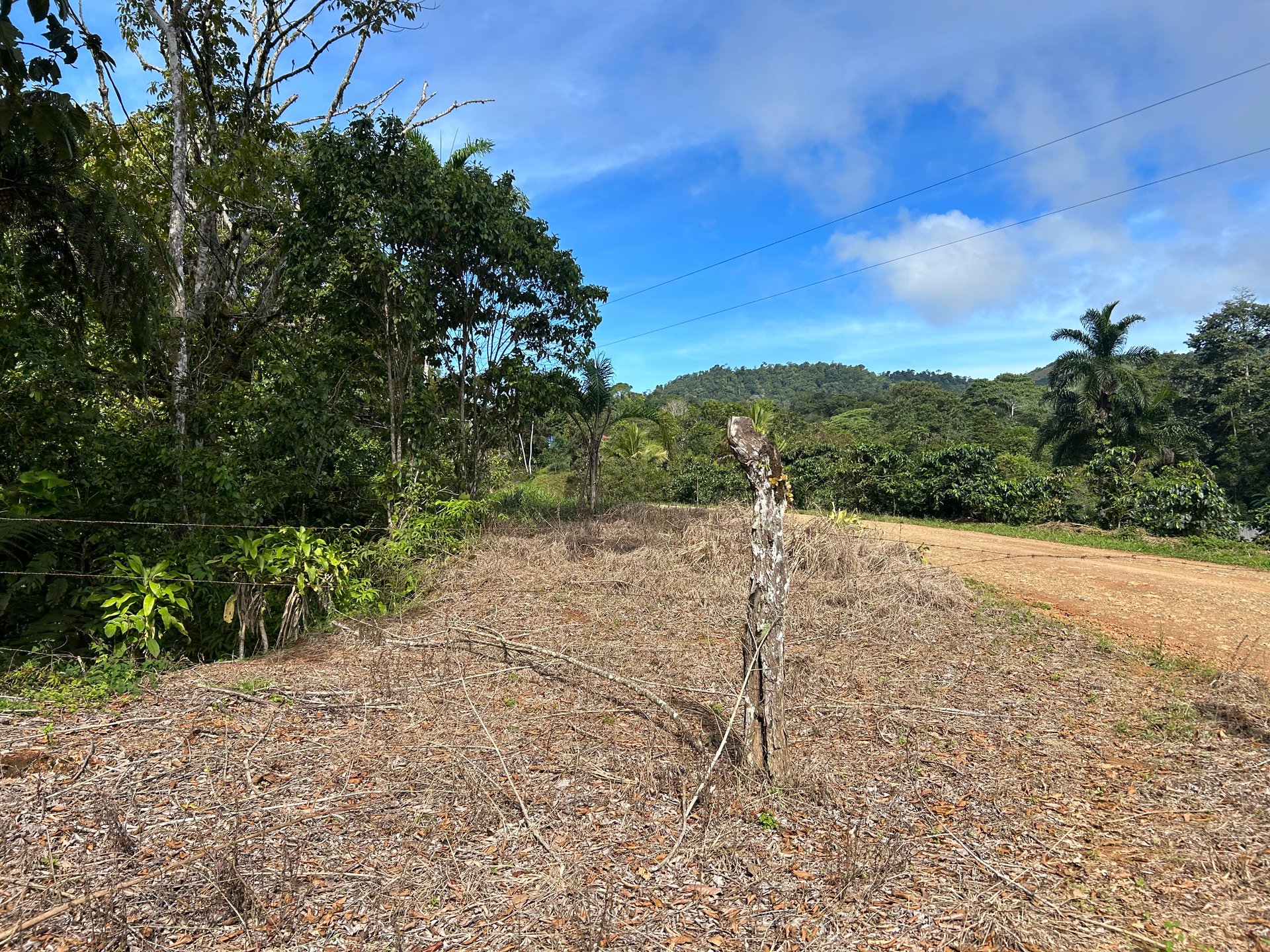Motivated Seller | Ocean View Lot in San Luis de Morete, Uvita