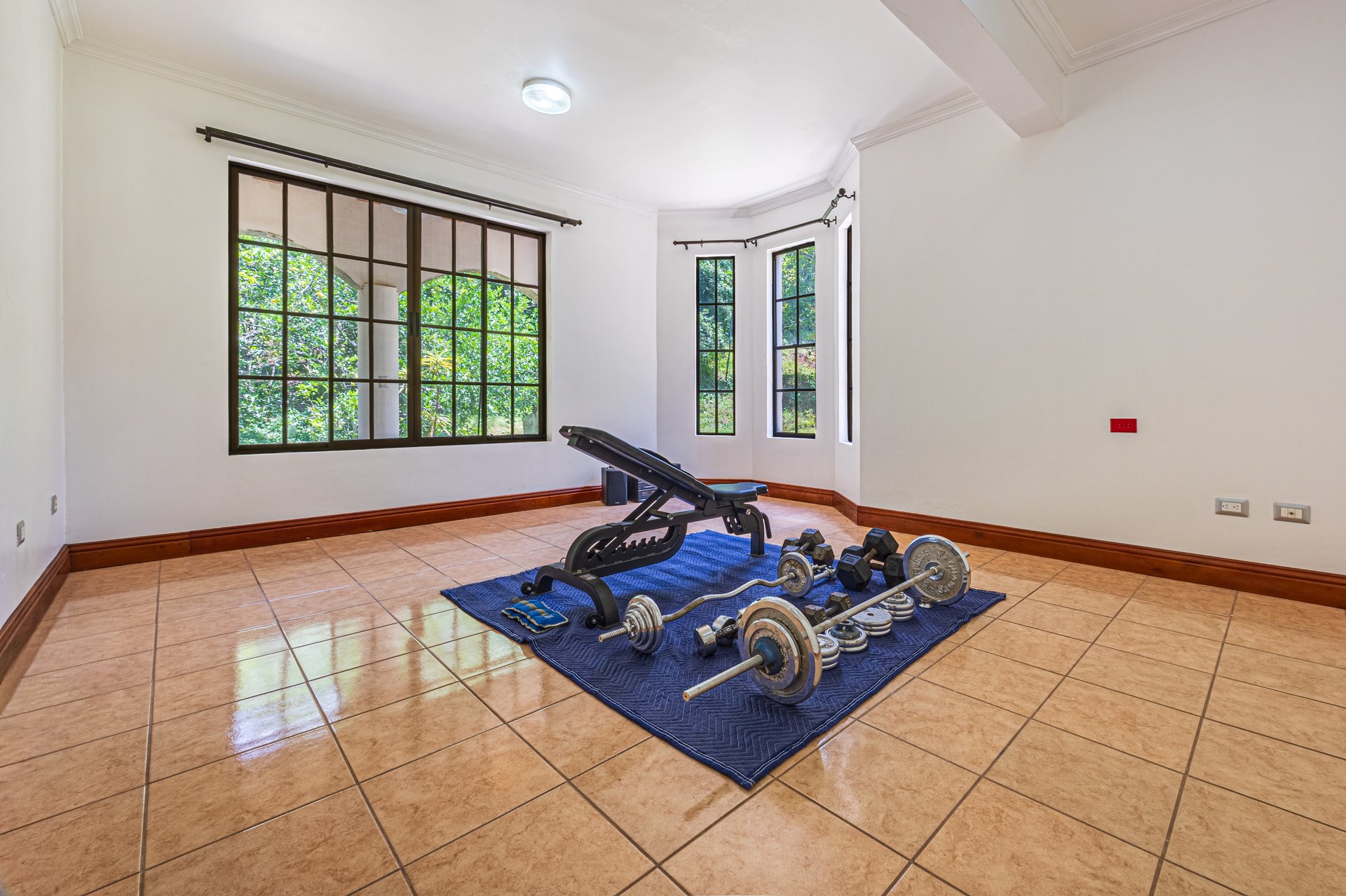 Private Tropical Estate with Pool & Fruit Gardens In San Isidro