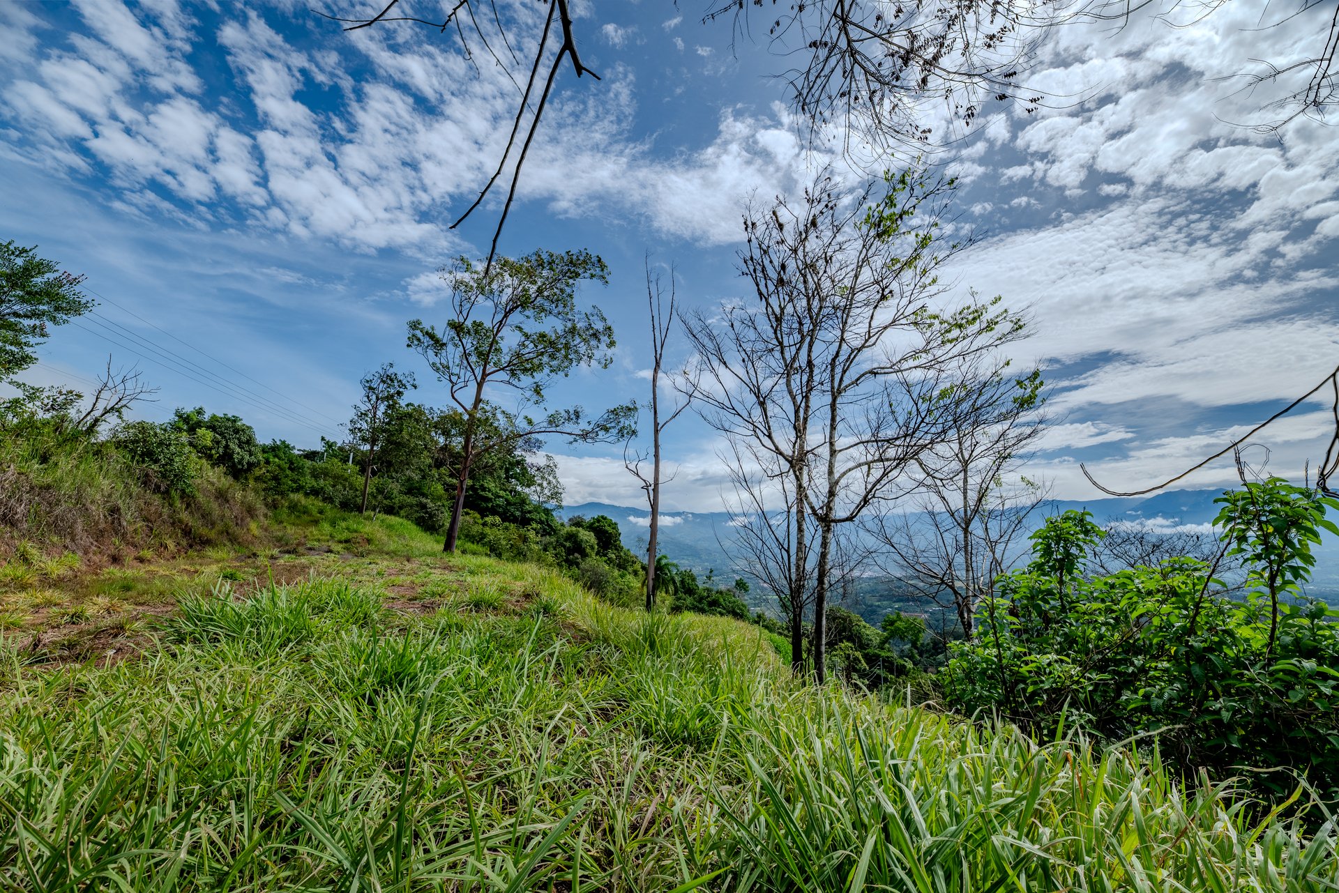 Panoramic Mountain View Lot | 3,000 ft, 30 min to Beaches | Pérez Zeledón
