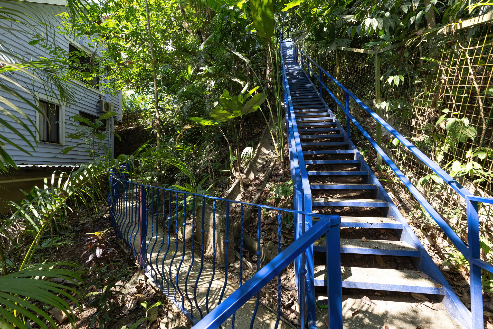 Casa Hermanas: Jungle Retreat with Pool, Guest Studio & Income Potential for Sale in Manuel Antonio