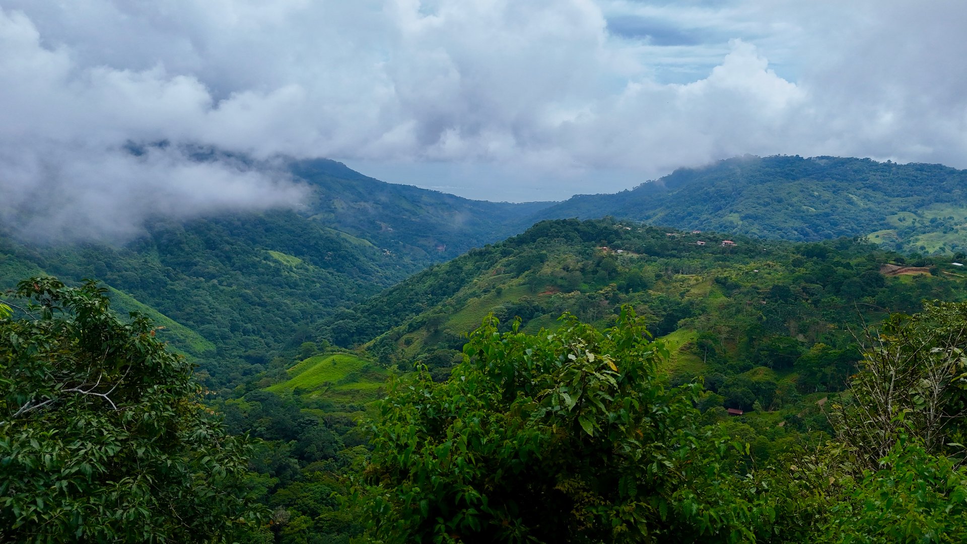 The Last of Its Kind Property in San Luis de Morete, Over 1.53 Acres