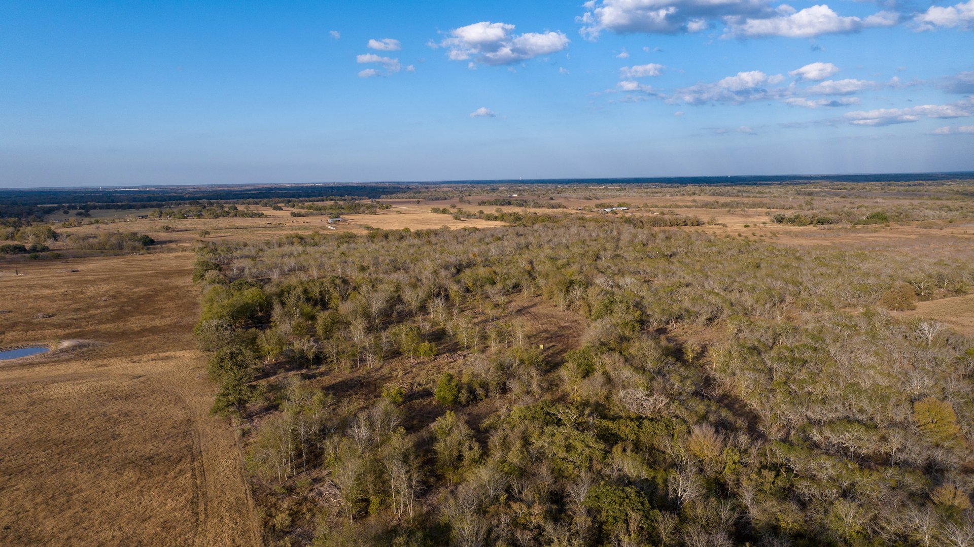 Gonzales County | 104+/- Acres