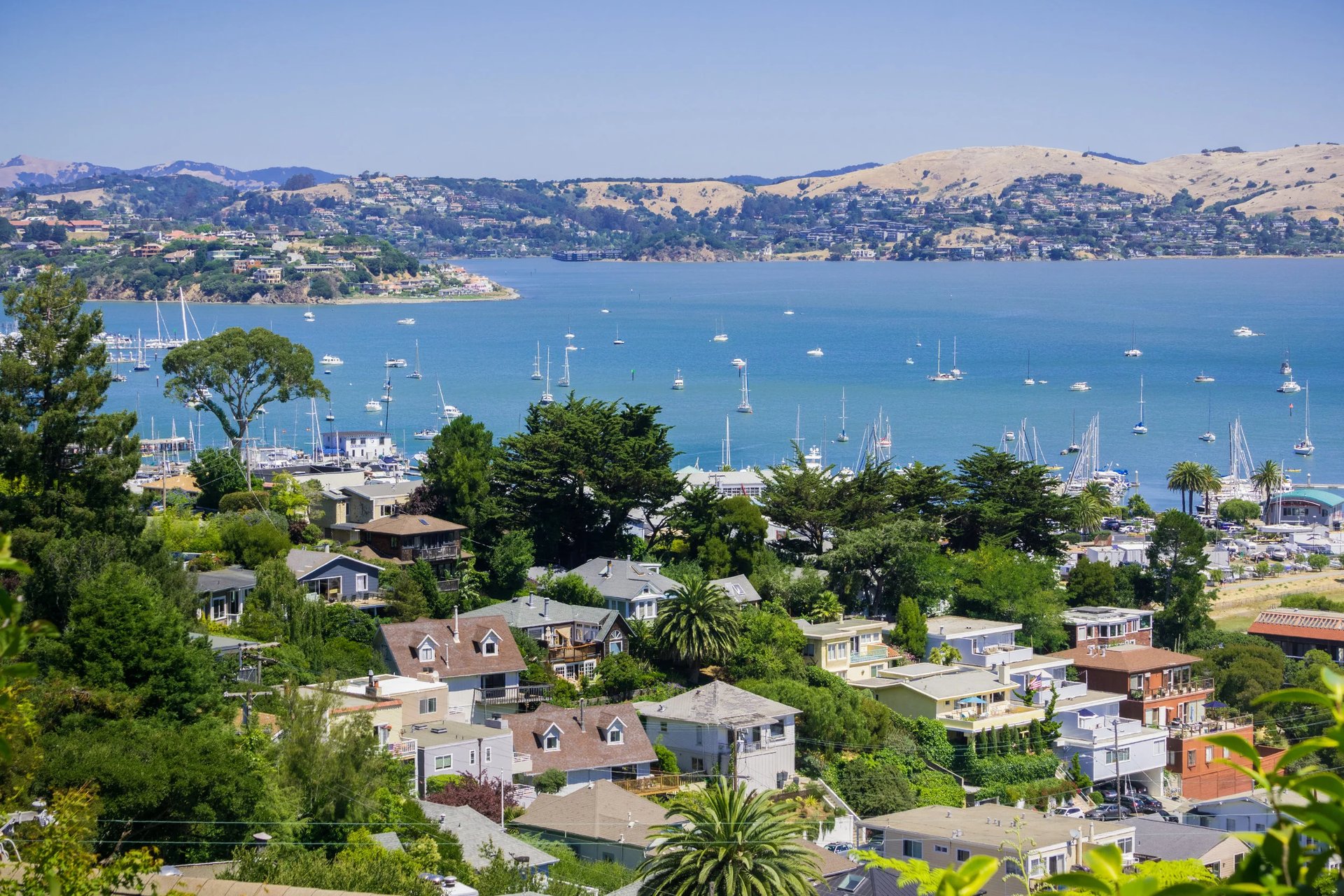 Sausalito waterfront with luxury yachts and Golden Gate Bridge - high-end day trips from San Francisco