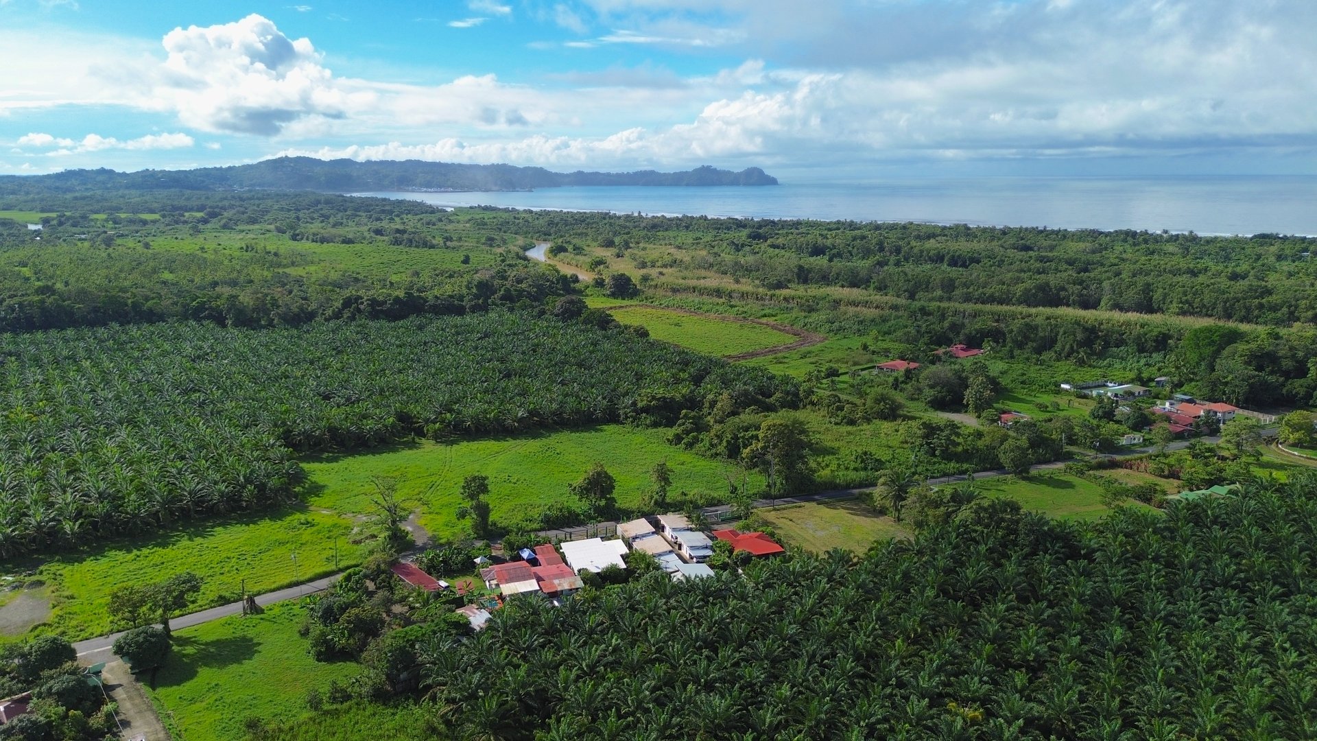 4 Boutique Rental Villas Plus Main House with Private Pool
