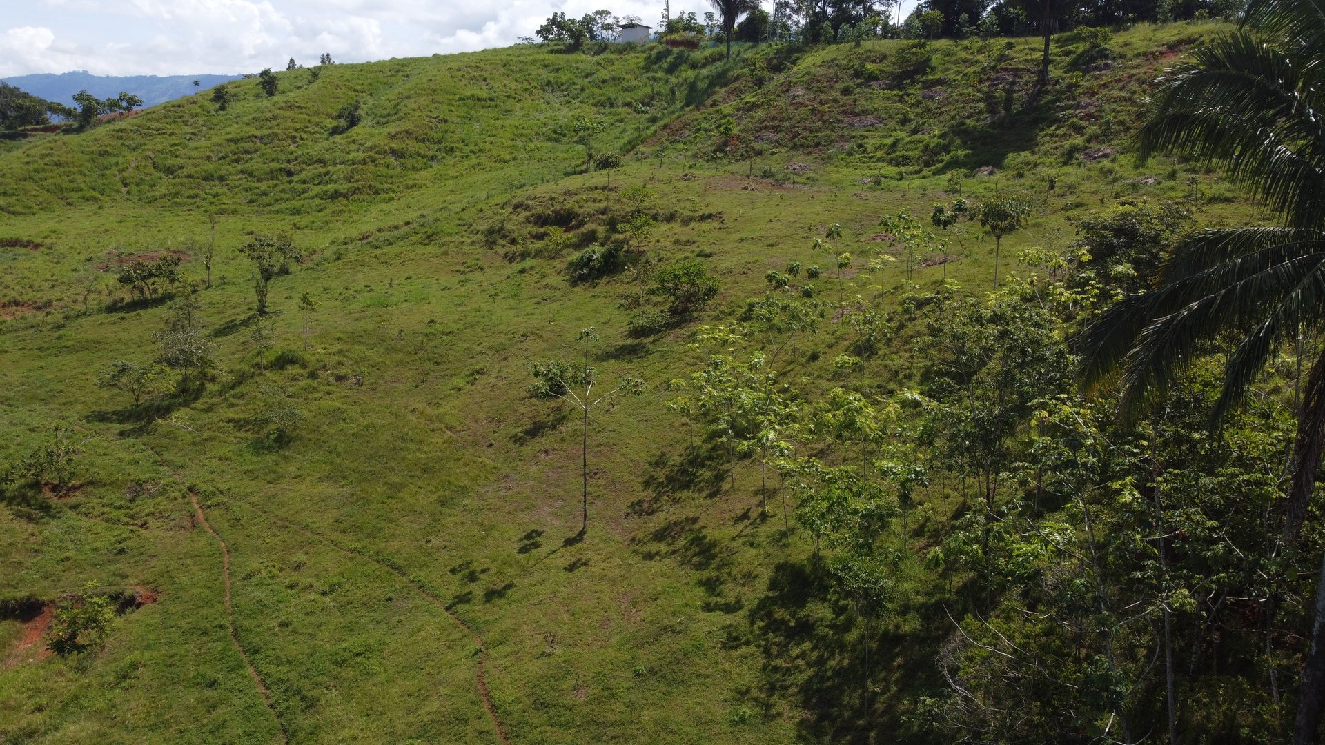 8.78 Acres Mountain View Estate with Water, Infrastructure & Endless Development Potential | Platanillo de Barú, Costa Rica