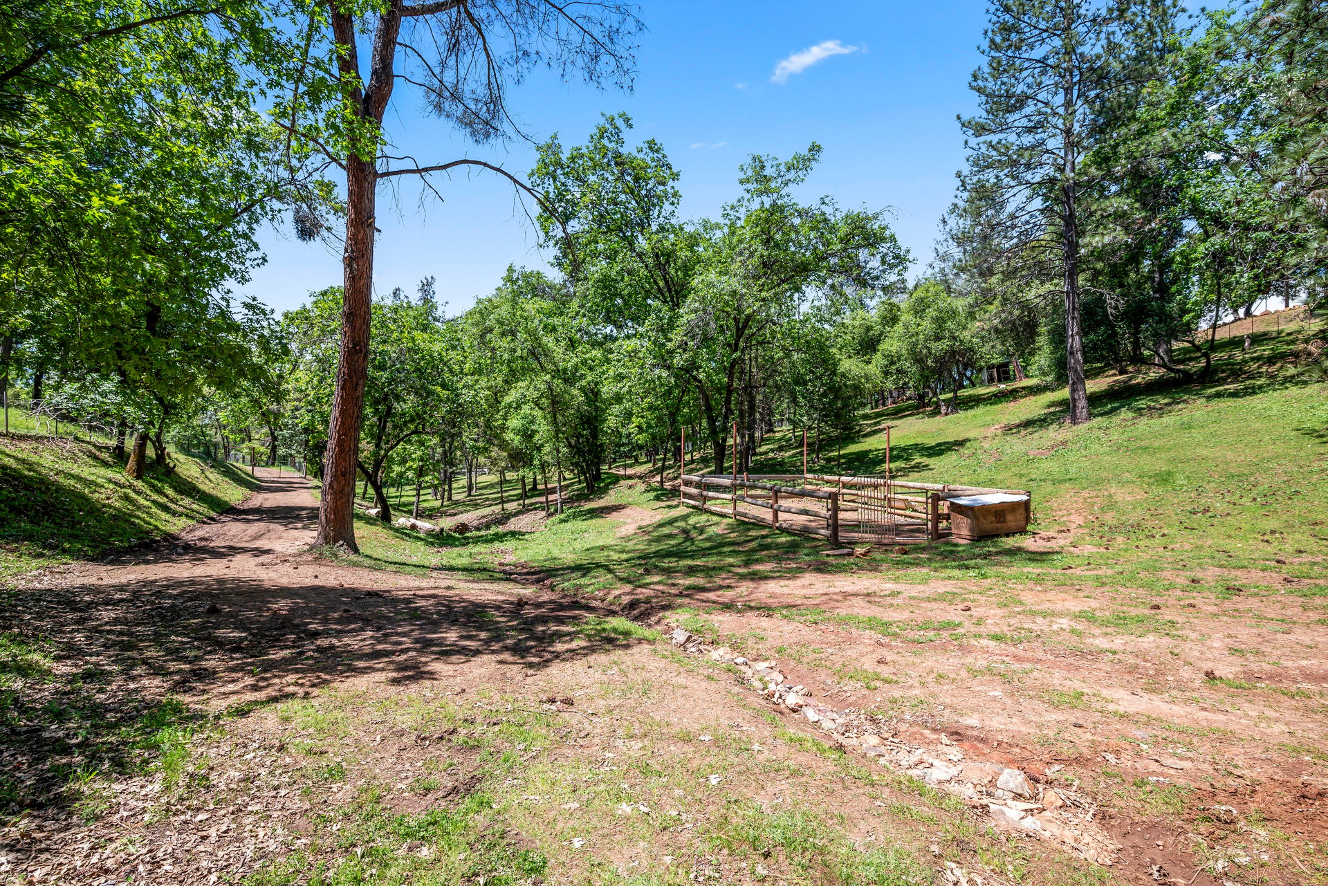 2405 No Walk Rd, Placerville
