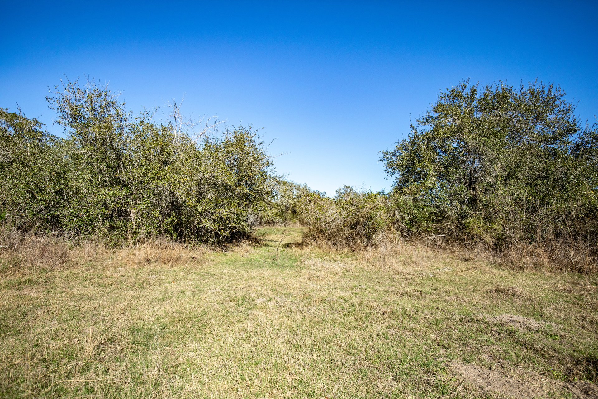 Lamar Peninsula Development Tract |  51.81± Acres | Aransas County