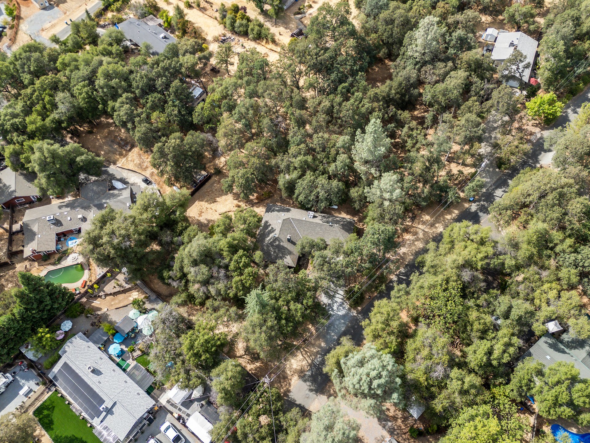 Aerial view of a wooded residential area with scattered homes and a quiet road.