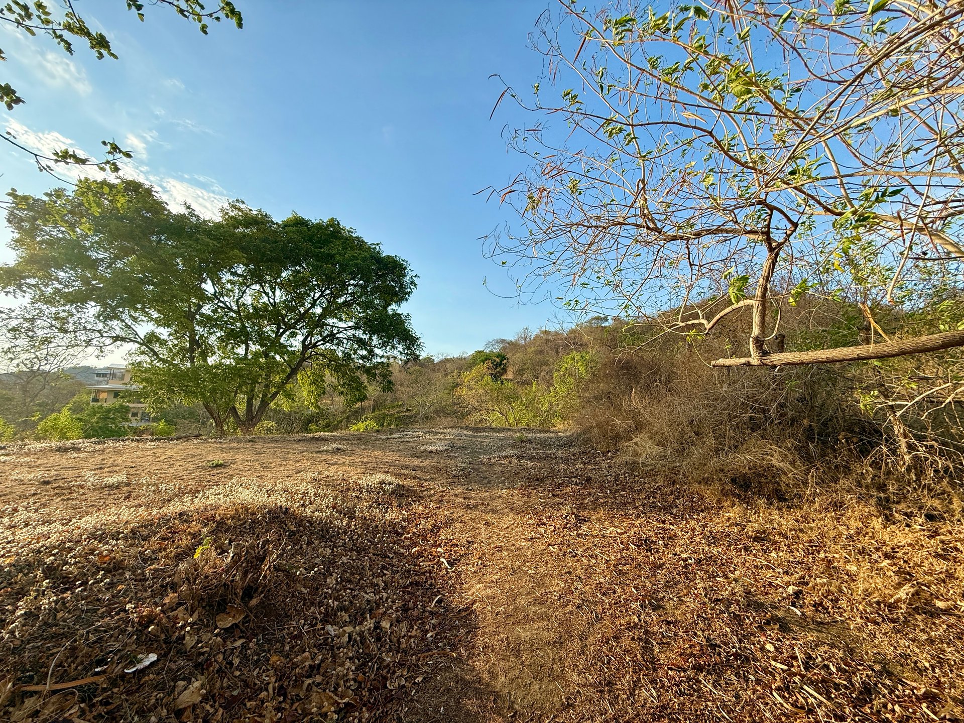 Lot 59 – La Marcela | Tranquil Jungle Ocean View Homesite in Potrero