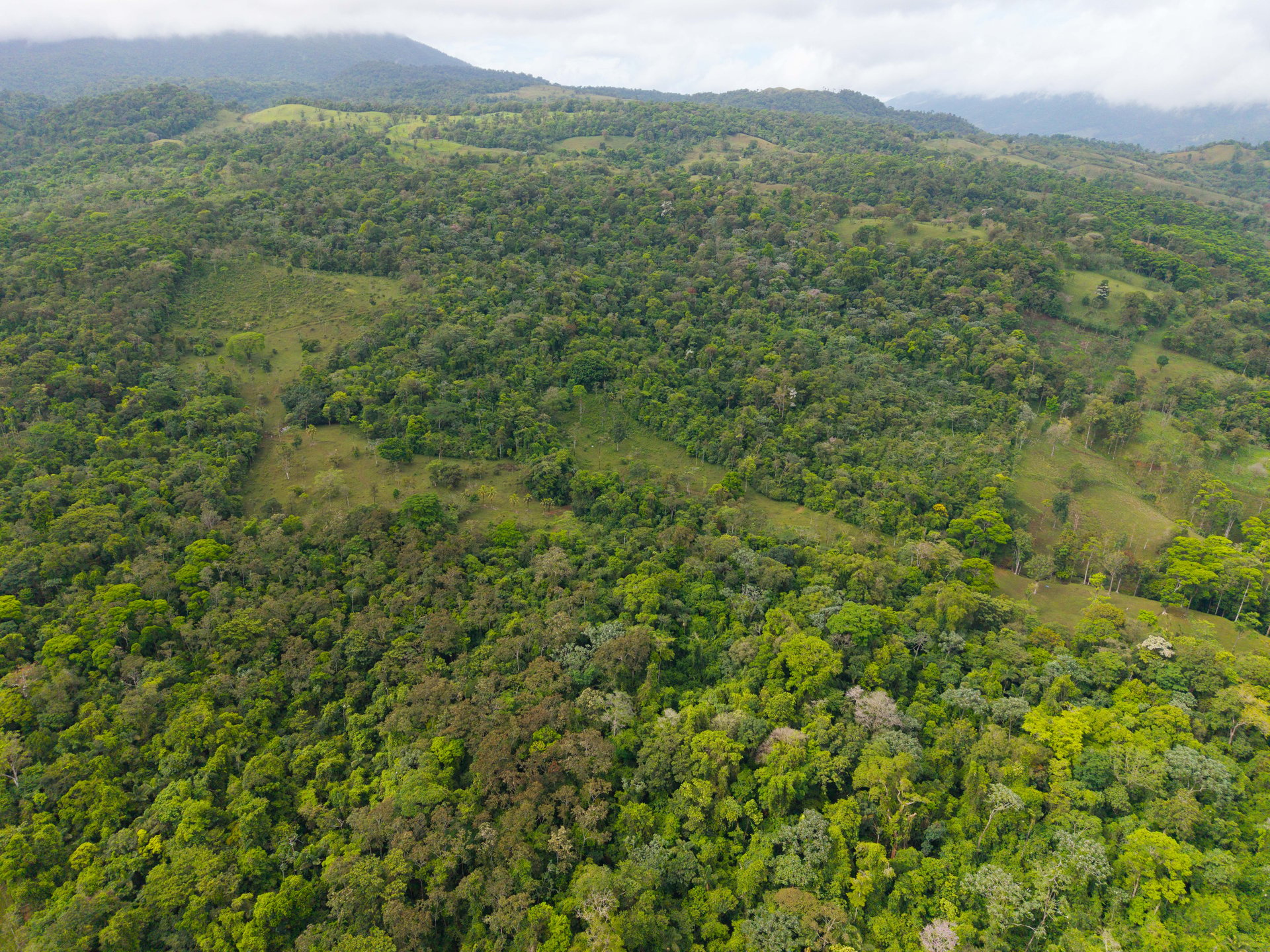 Finca Las Zompopas-Río Celeste | 113-Acre Biodiverse Property in Bijagua, Ideal for Eco-Tourism, Private Retreats, or Sustainable Development